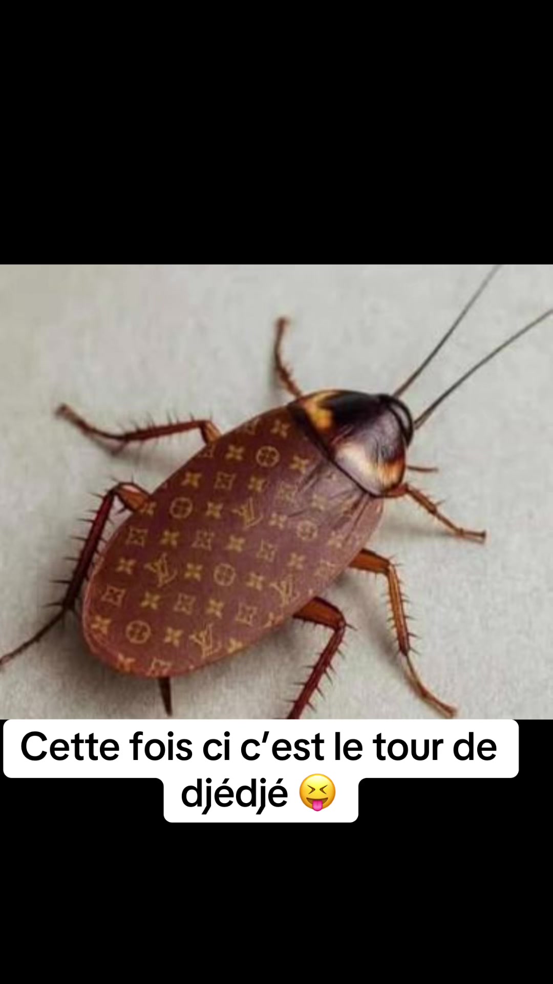 @BIBOSS AFFRIQUA OFFICIEL