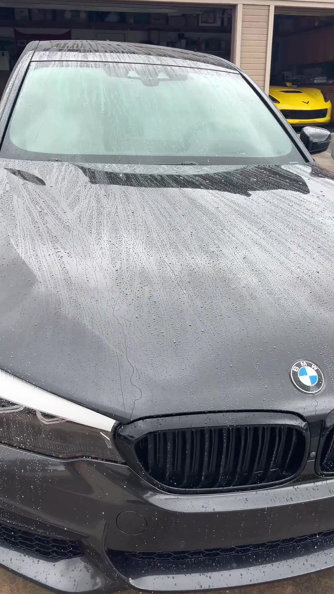 @gotdetail