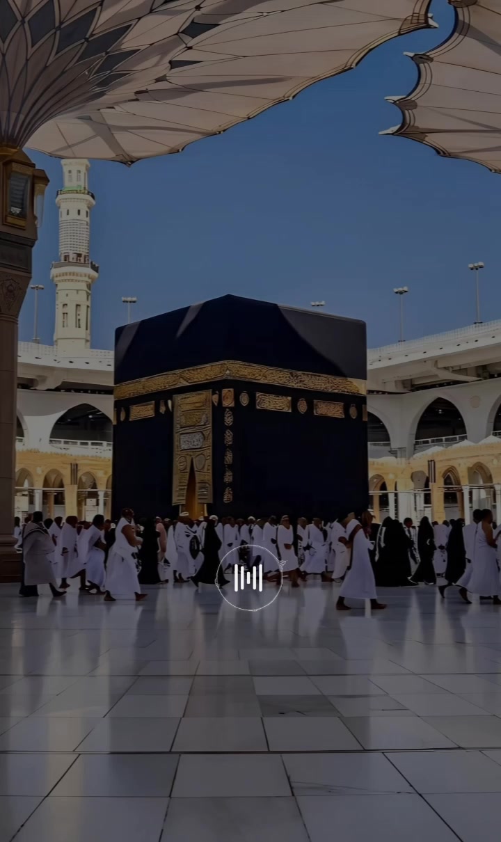 @محمد | Mohamed ✓