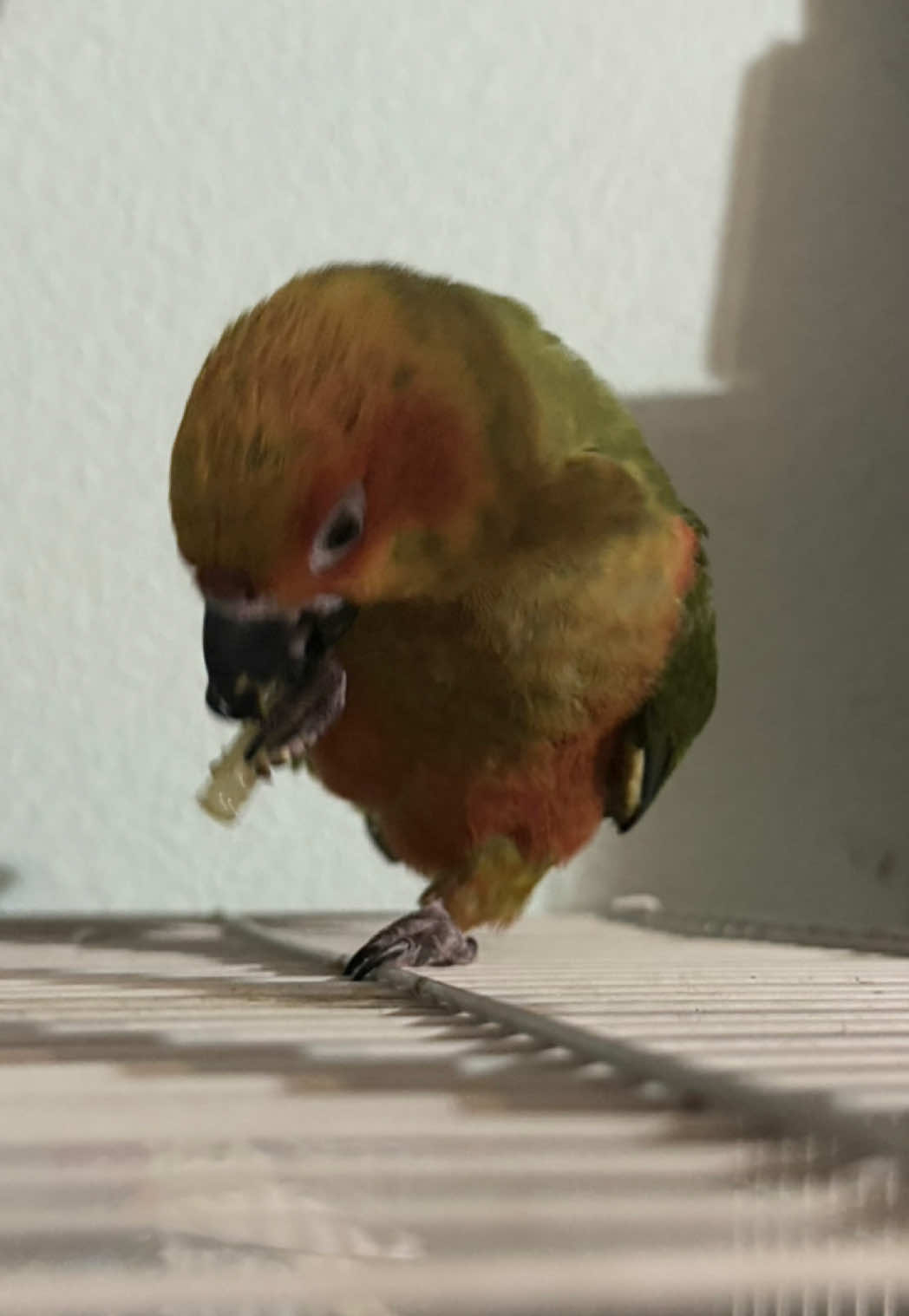 @𝔇𝔦𝔢𝔤𝔬🇨🇴🇲🇽