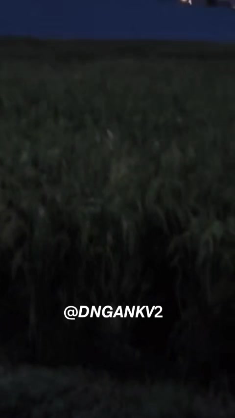 @바구크시크스🧋