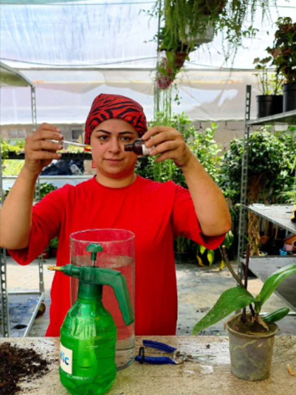 @Botanik bahçesi flora