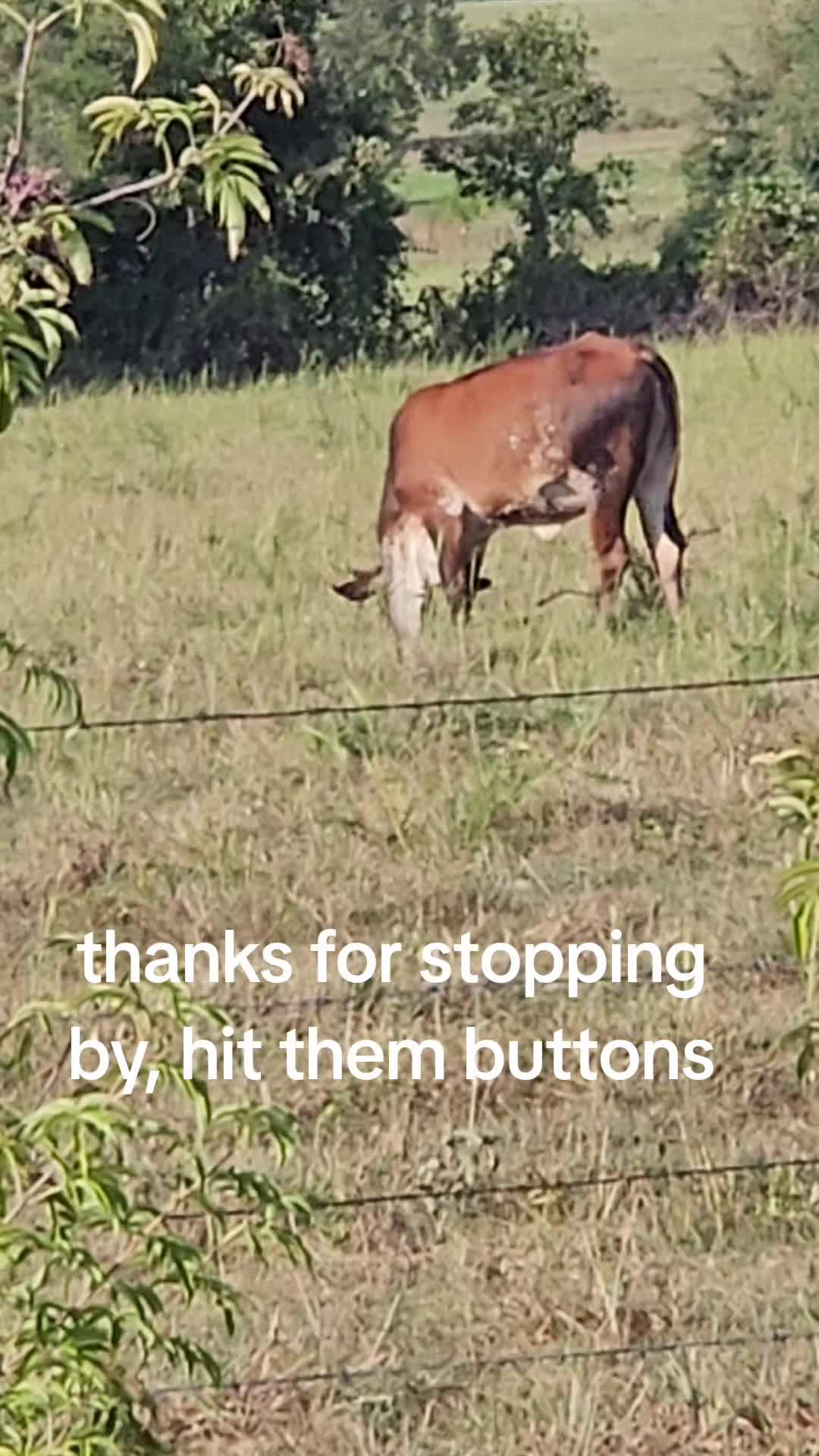 @Davy ❌️Eagon
