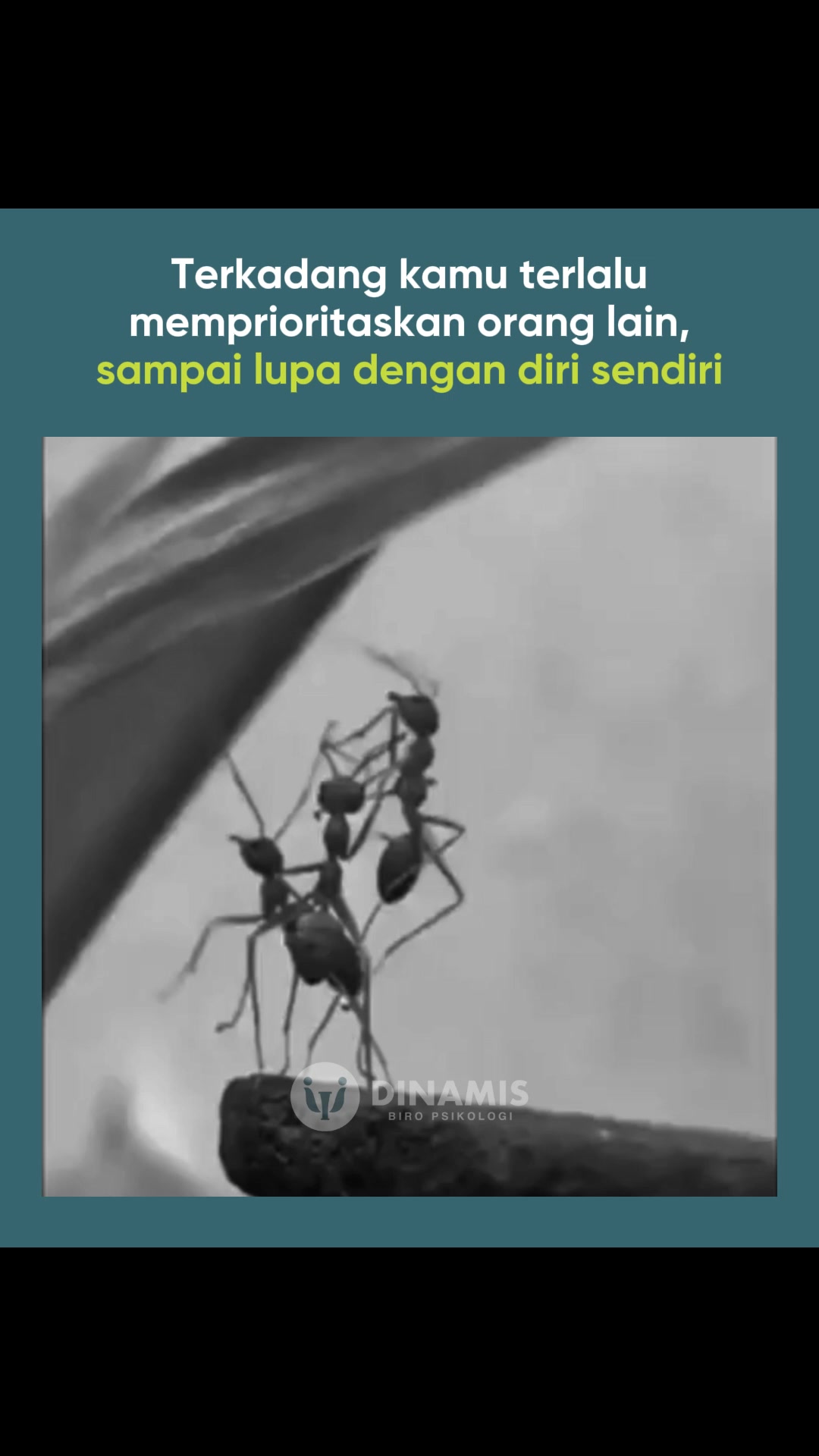 @dinamisbiropsikologi
