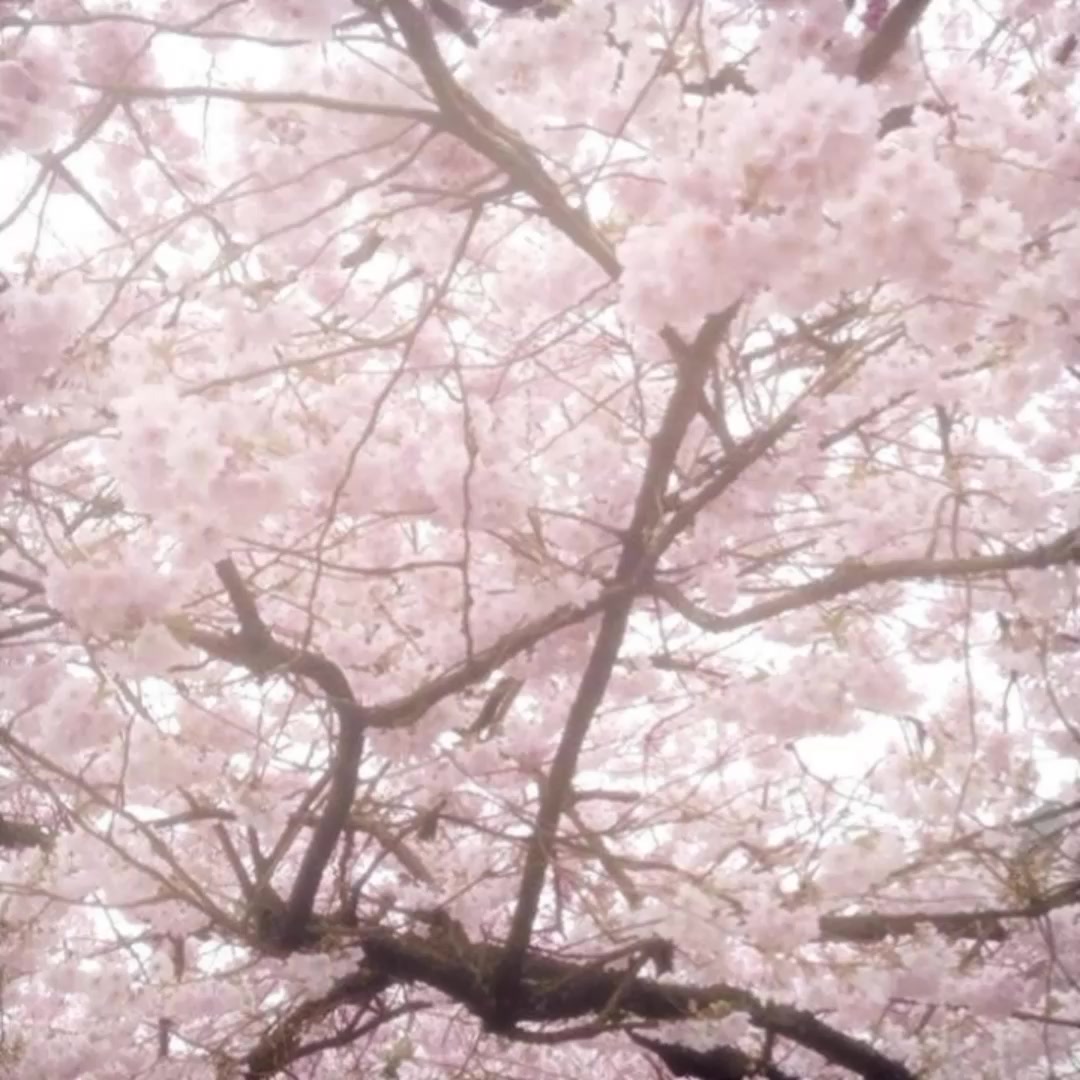 @‧₊˚૮꒰ 𝙇𝙪𝙡𝙪 ꒱ა‧₊🧸