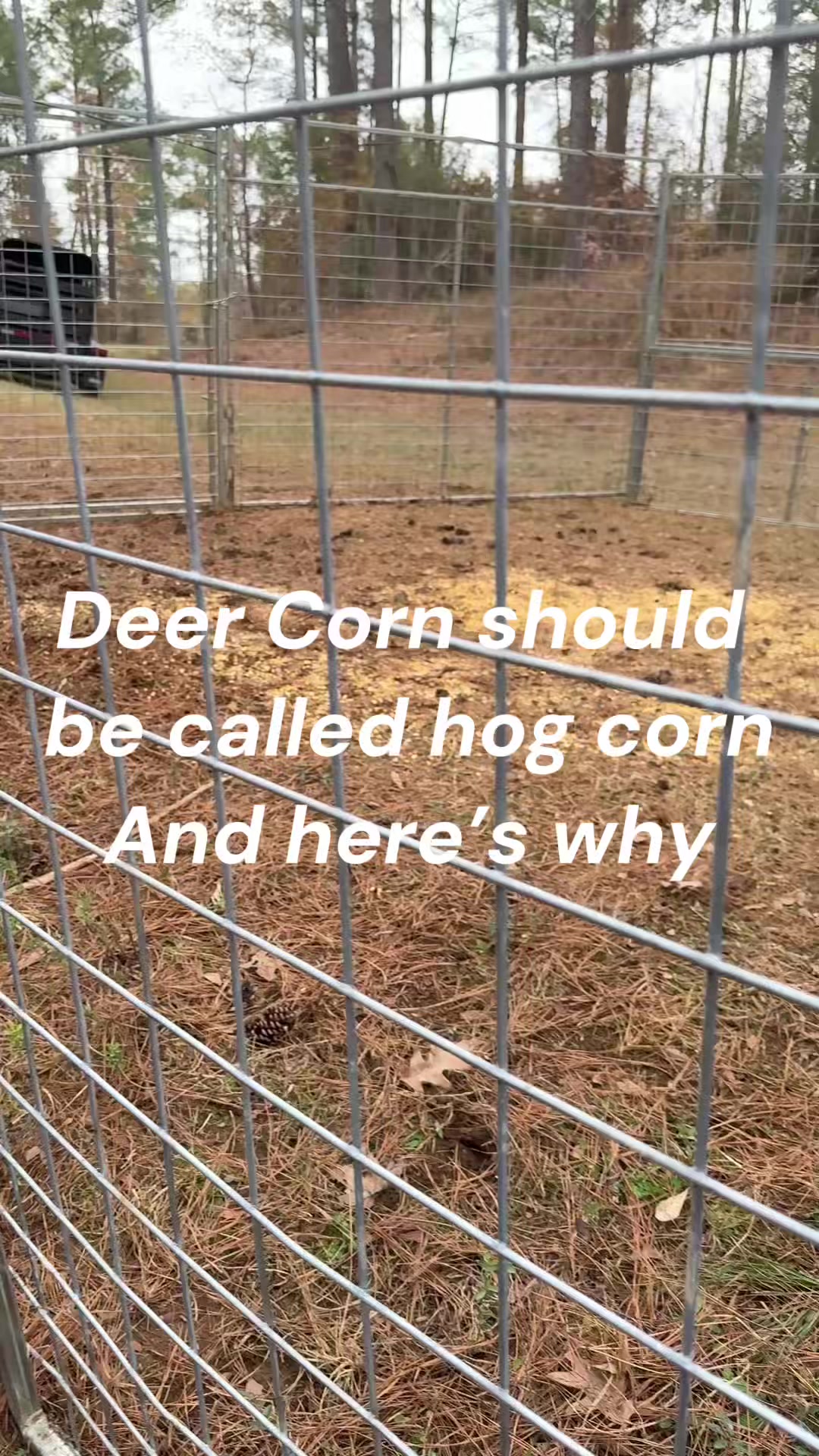 @Hog Brothers Custom Hog Traps