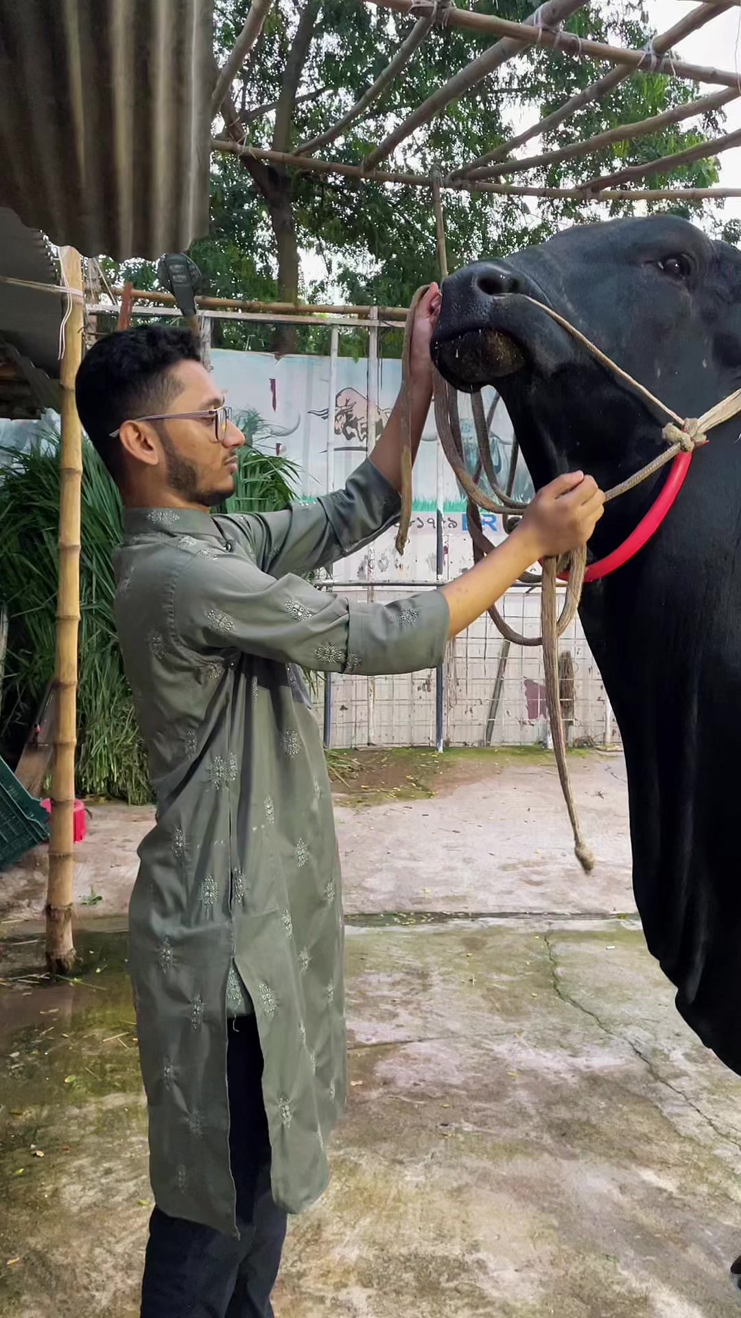 @Junaid rahman Jr