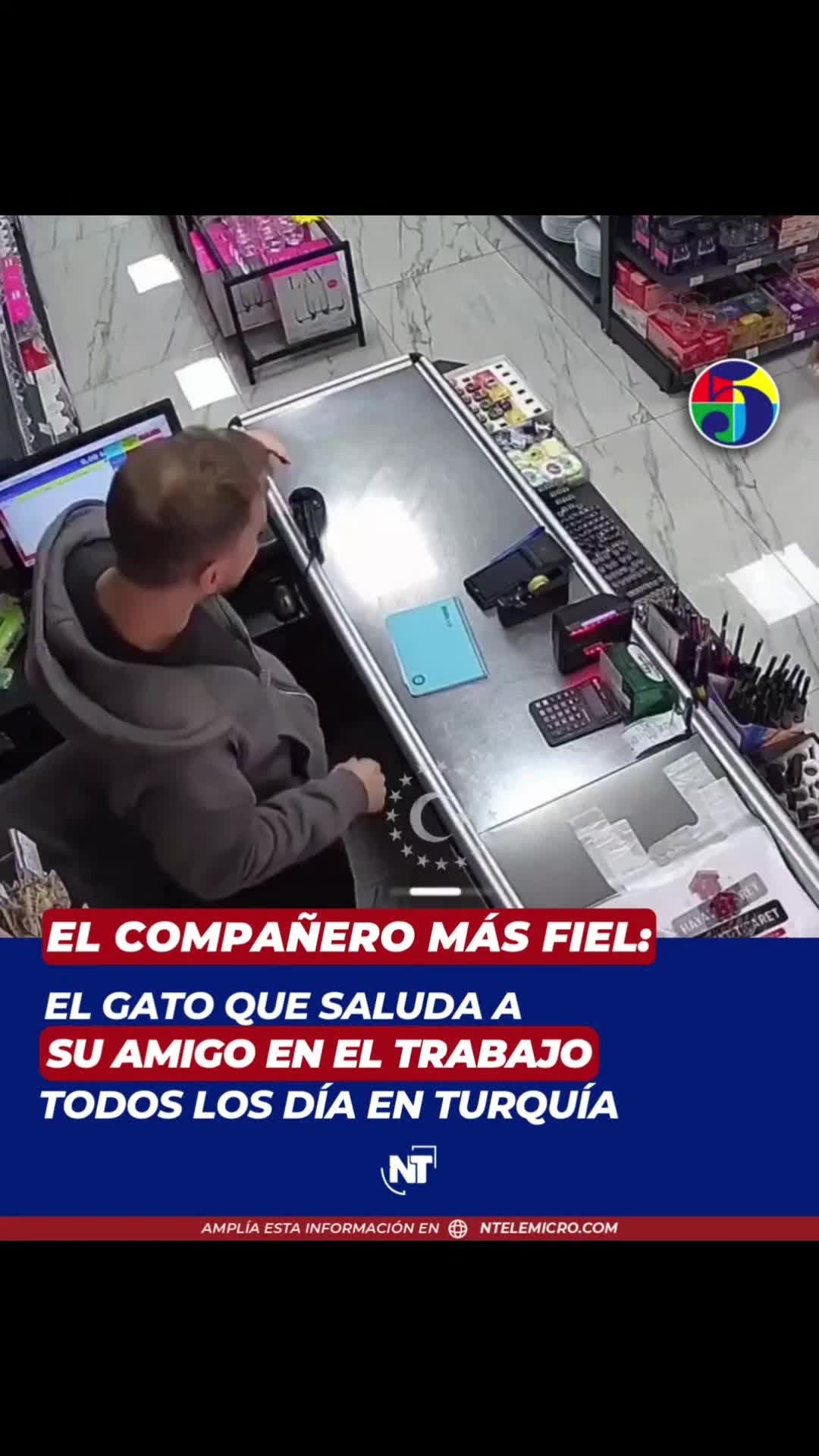 @Licda 𝕊𝕒𝕚𝕣𝕚 𝔾𝕖𝕣𝕞𝕒́𝕟