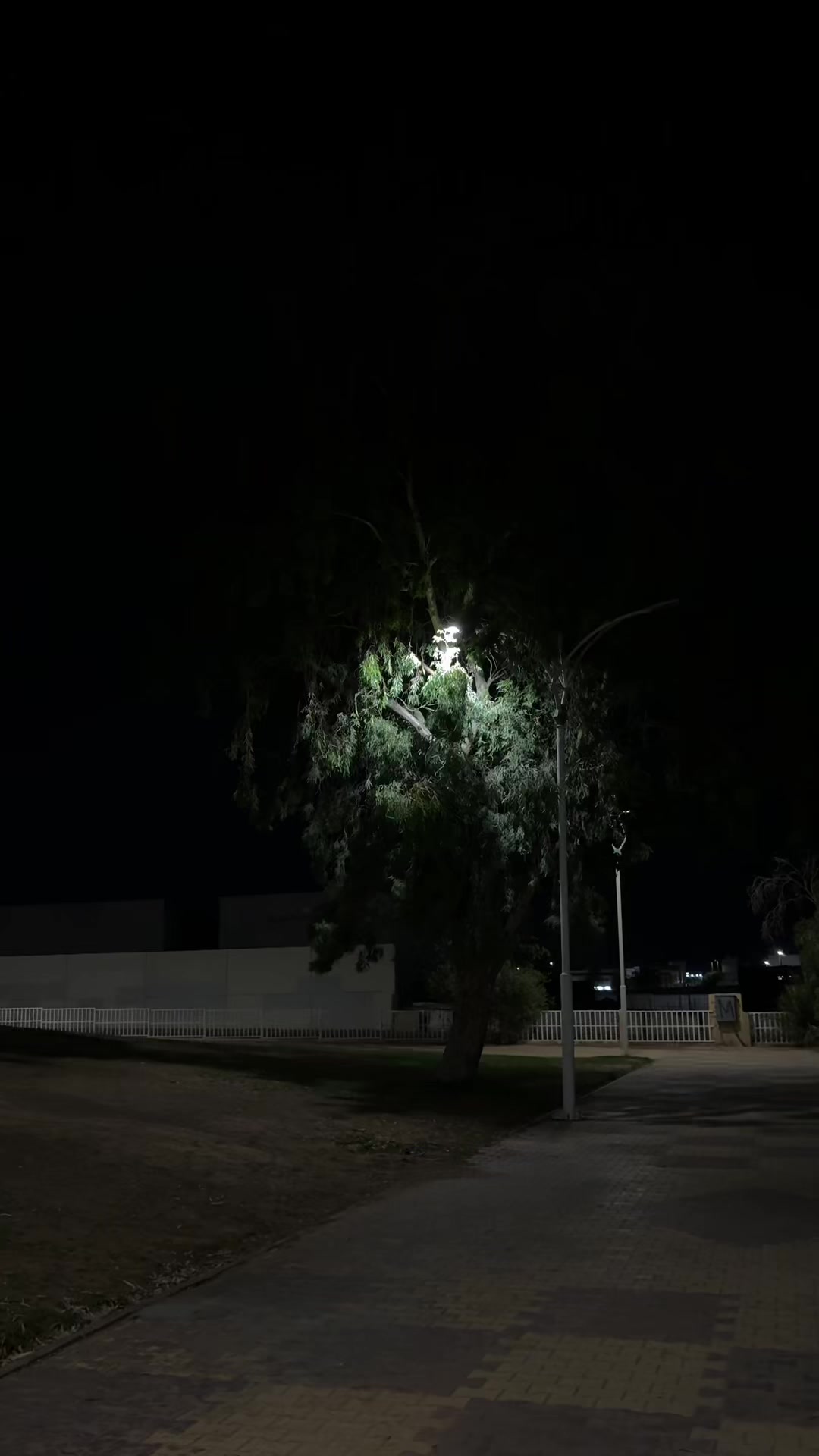 @𝘍𝘈𝘏𝘋 l فـهـد📸