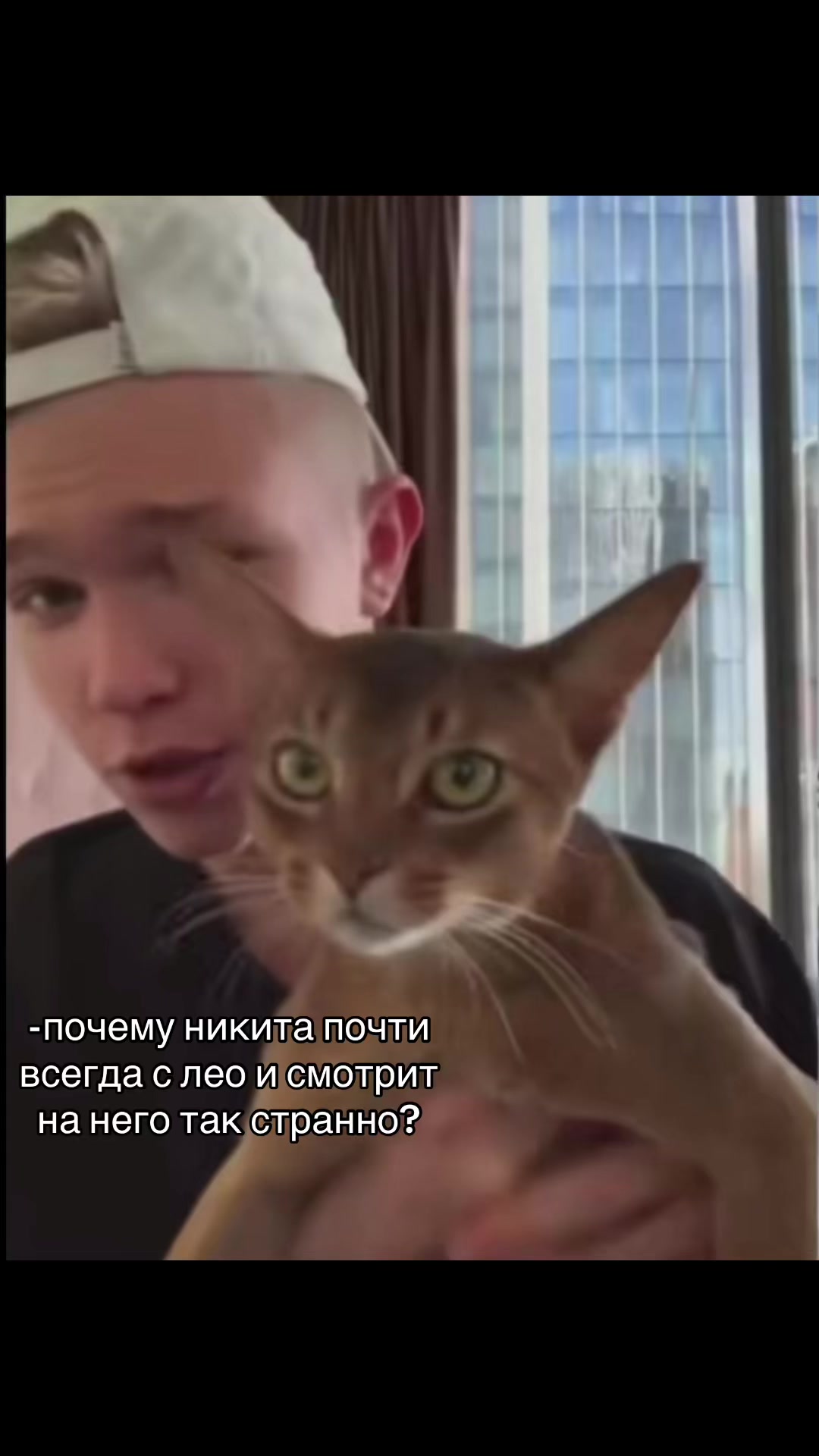 @стич_софарика