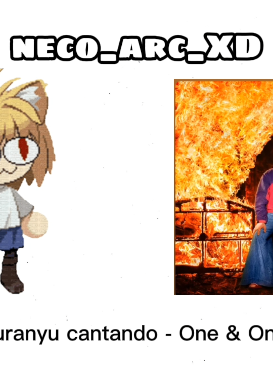 @neco_arc_XD