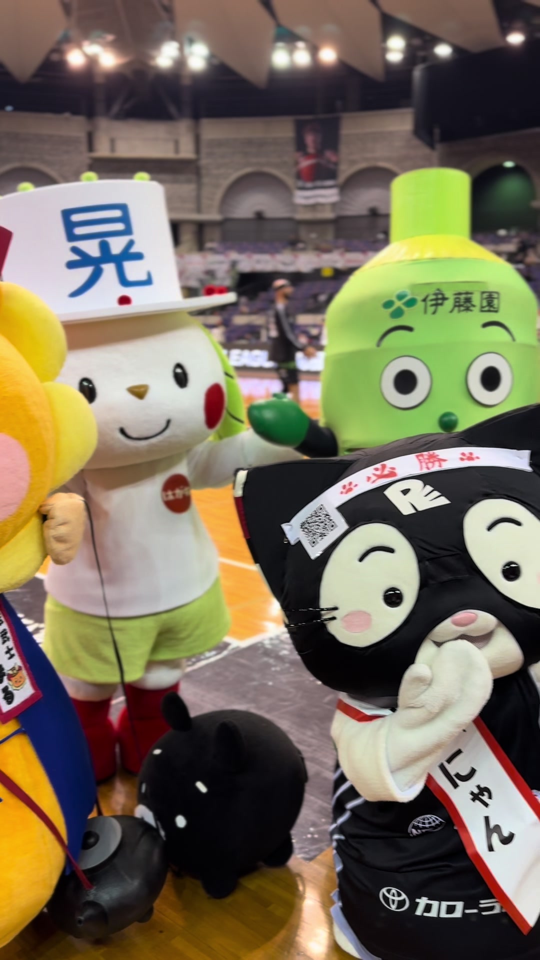 @お茶わんこはがねちゃん 堀口製茶PRキャラ