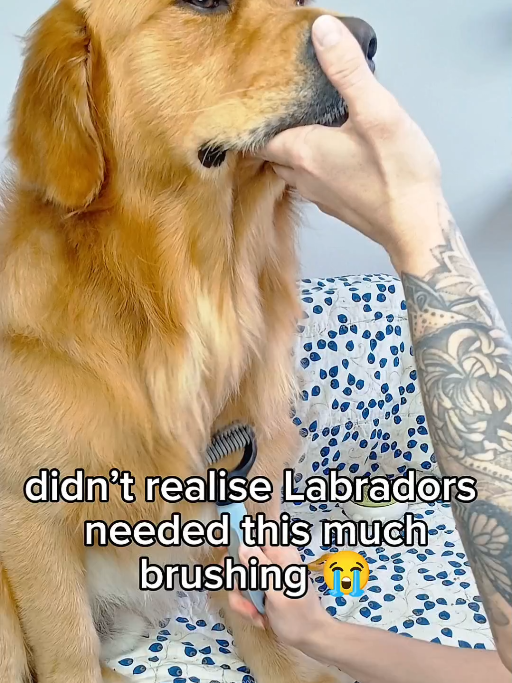 @I'm Marlo... probably?