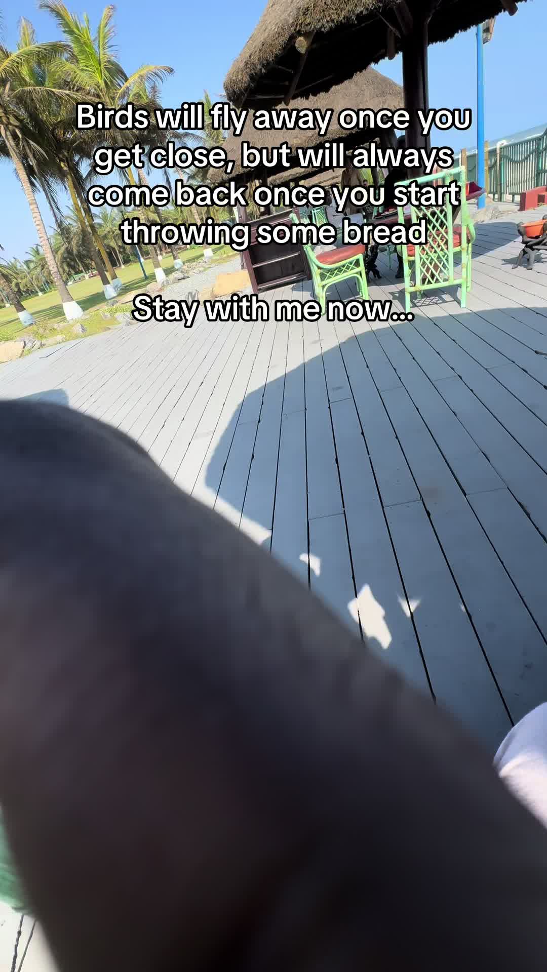 @samirtravels