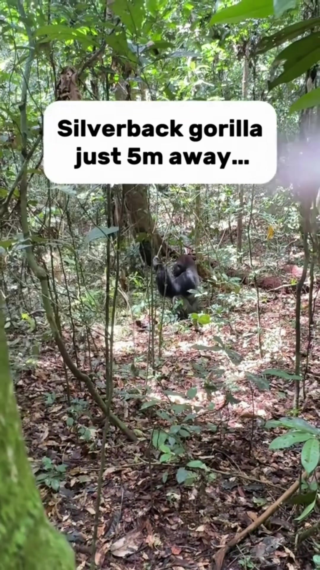 @spooktacularbhodie