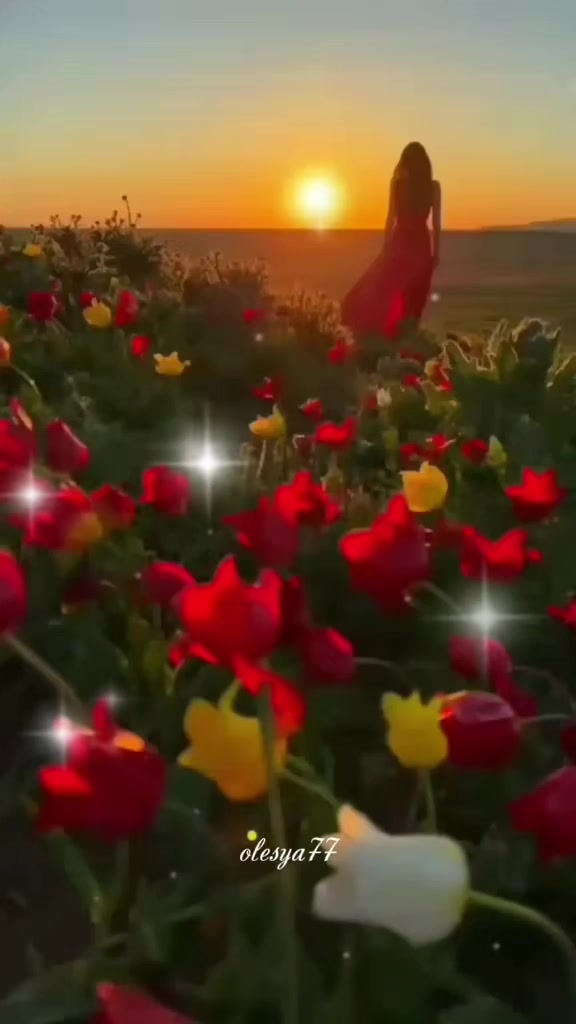 @🌹Olesya♥️