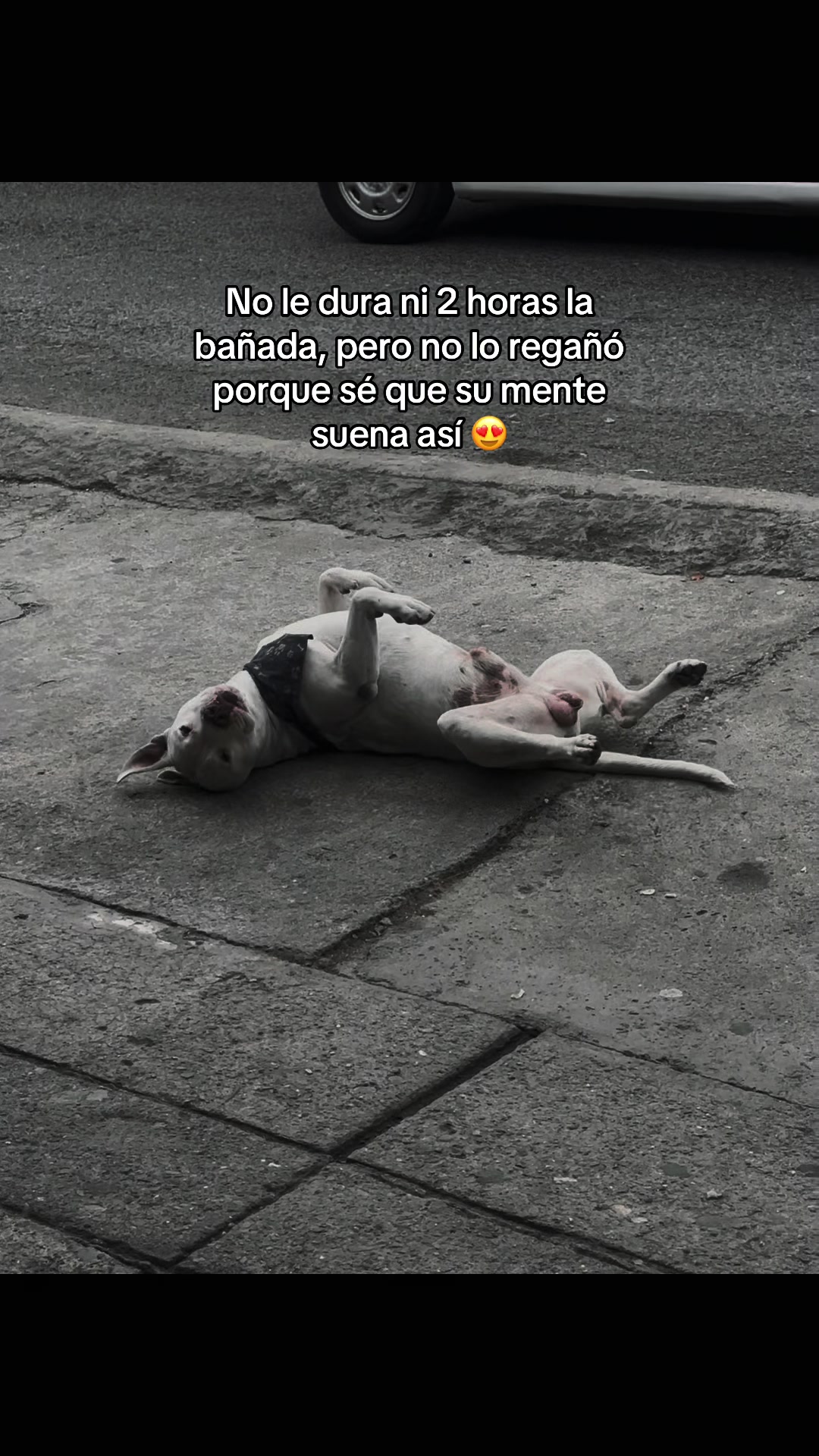 @SARACAMILA5_💜