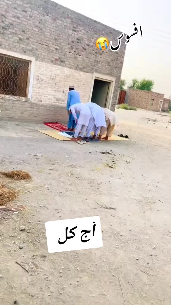 @zahidali4701