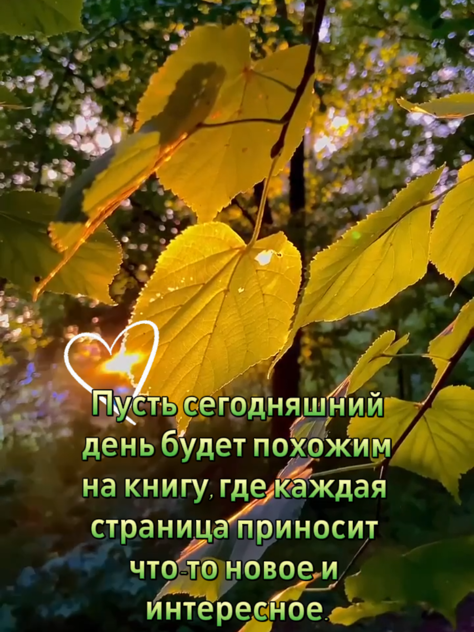 @Tasha
