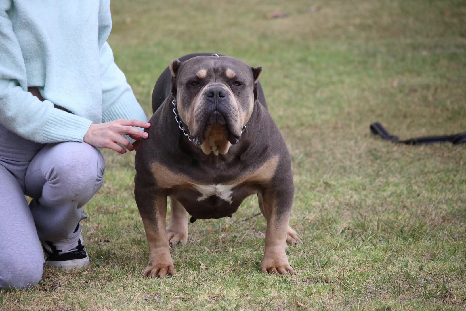 @@Dublinekennels