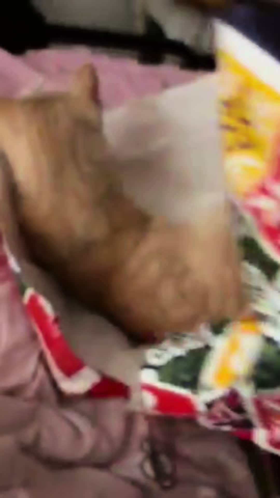 @kaedyn