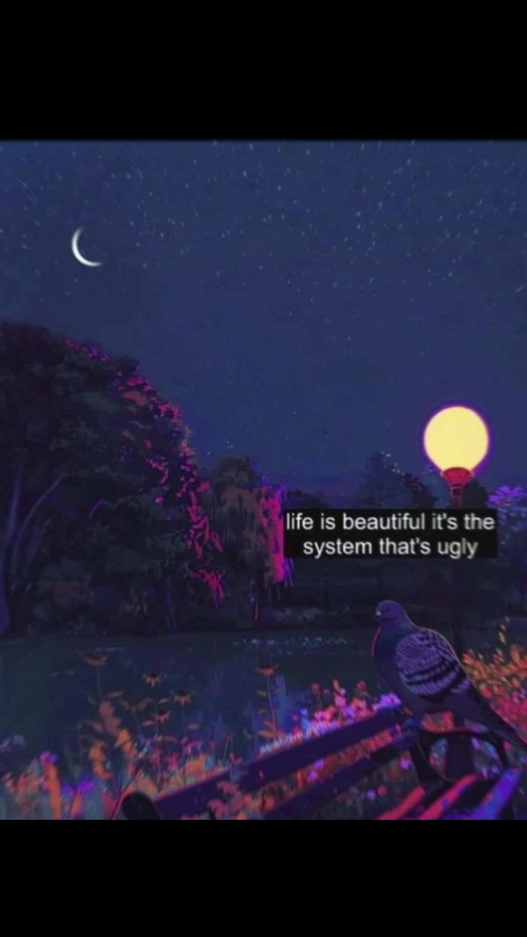 @peace.love.sagittarius.888