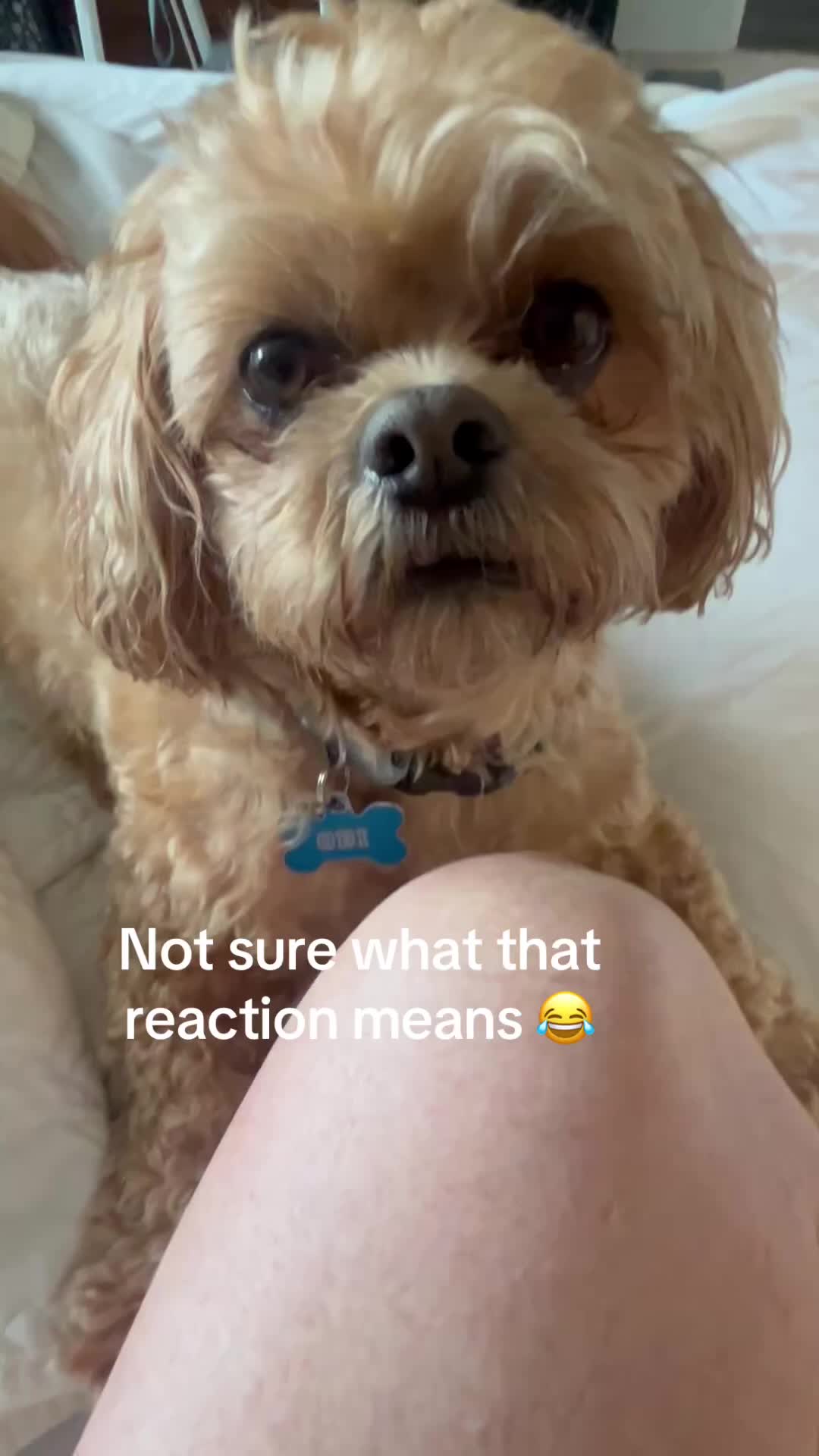 @Obi