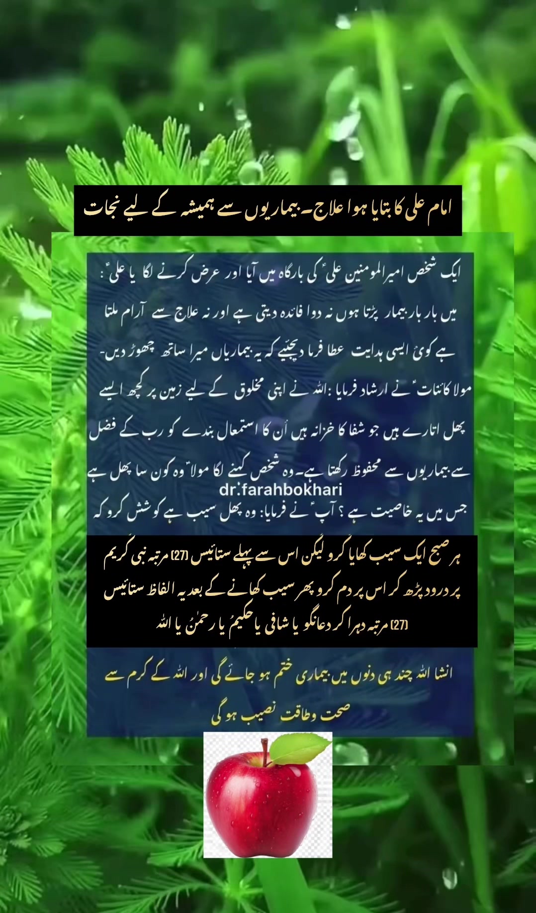 @dr.farahbokhari