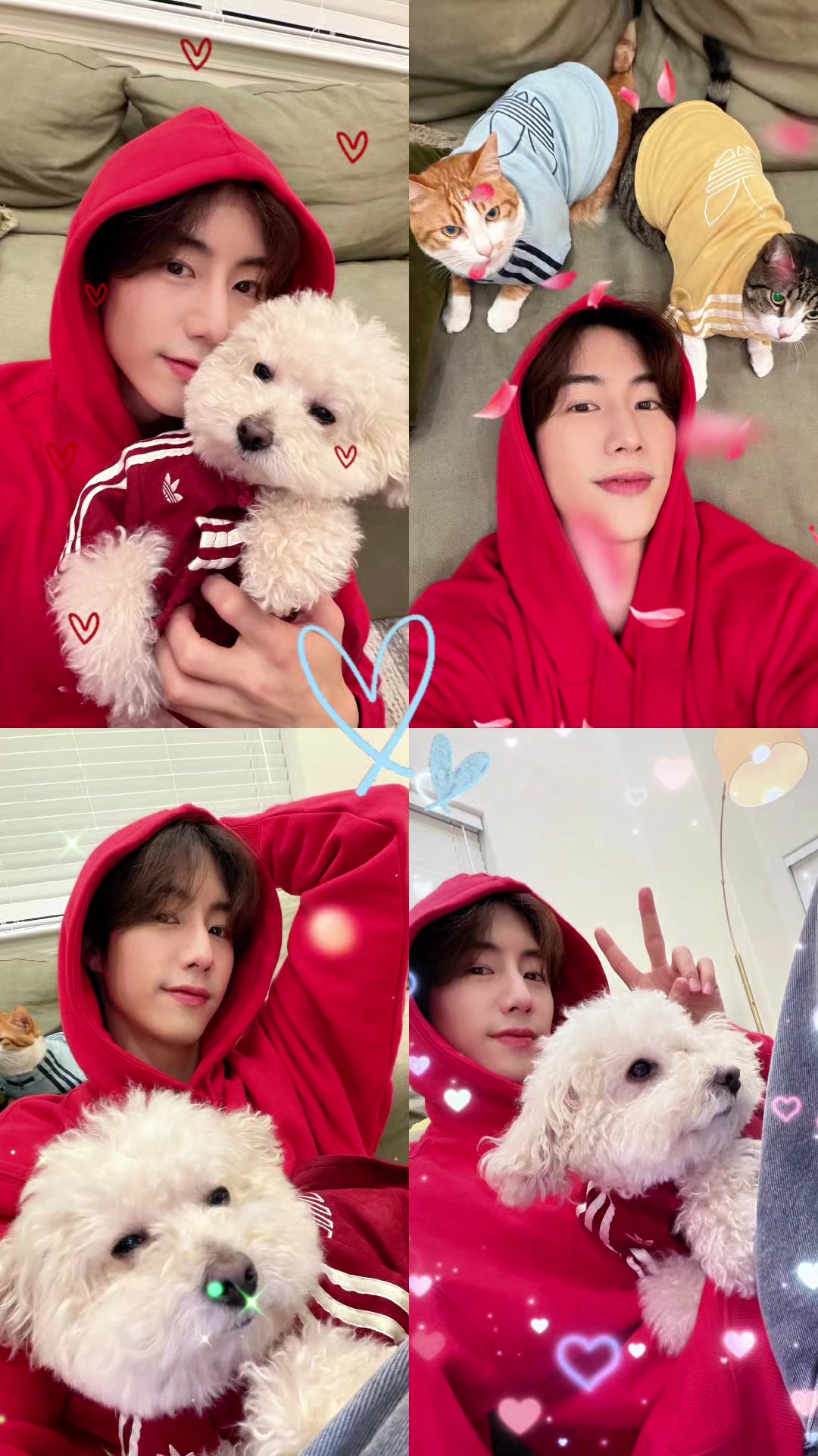 @🐰MaRkLoVe💚🕊️