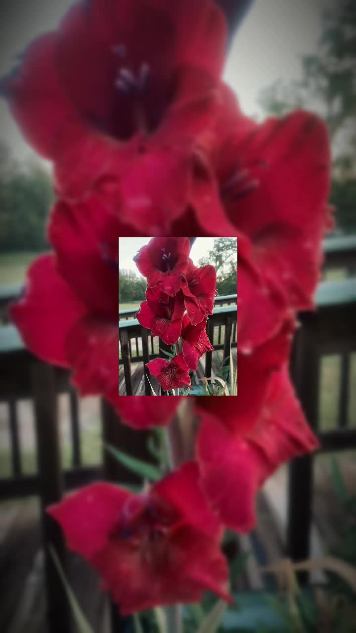 @ItsJustme