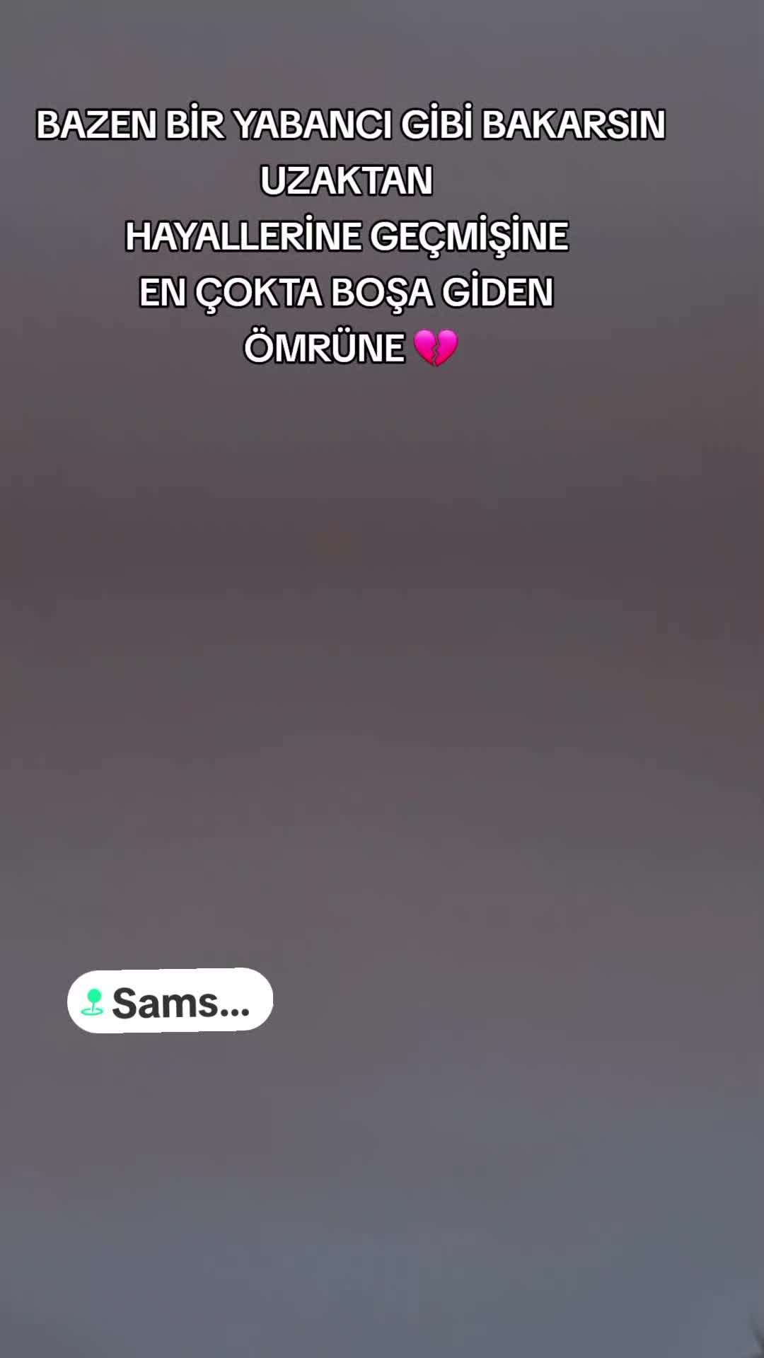 @Aysun Pala 💙
