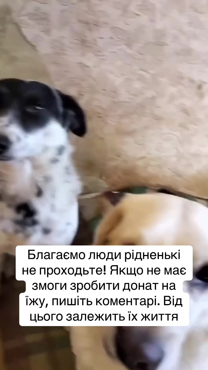 @kvitochki222