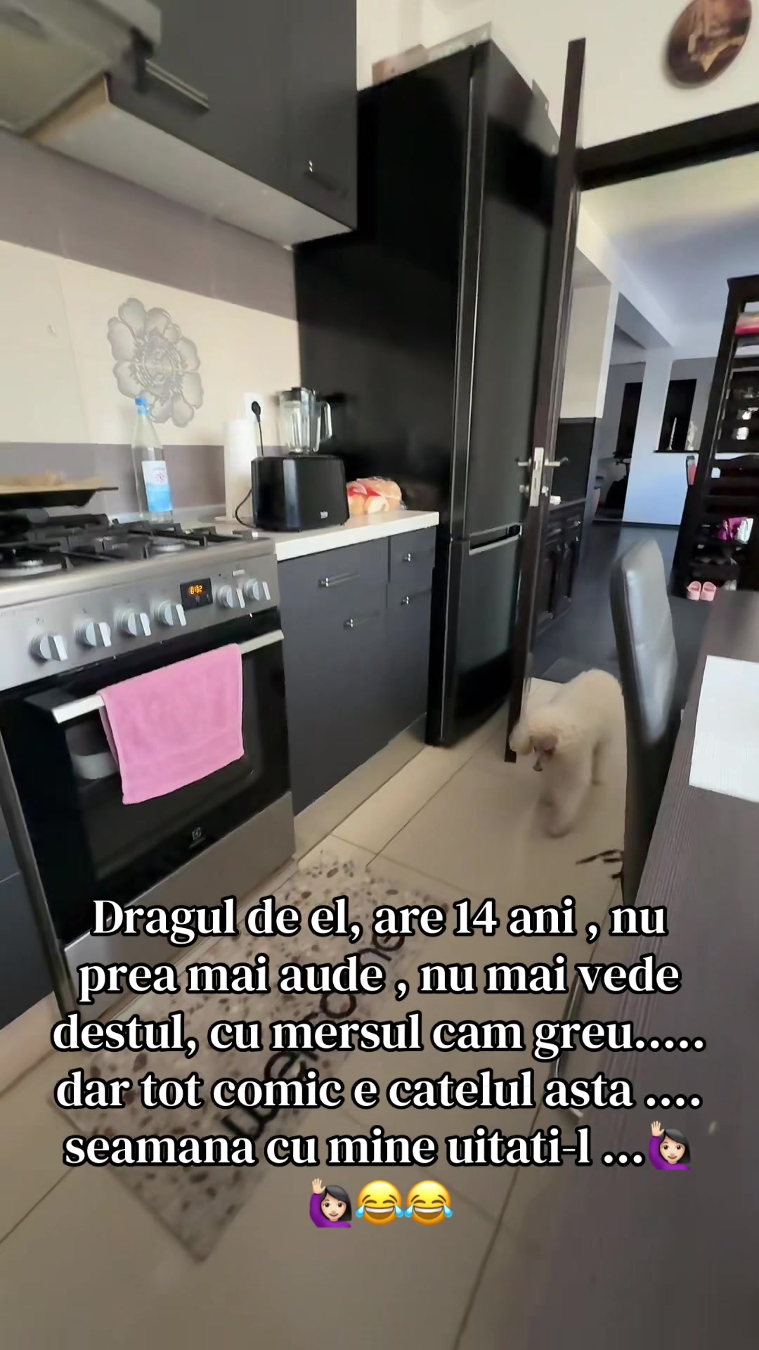 @𝑻𝒂𝒏𝒊𝒂 𝑯𝒆𝒏𝒆𝒔𝒄𝒉 🎻🏡