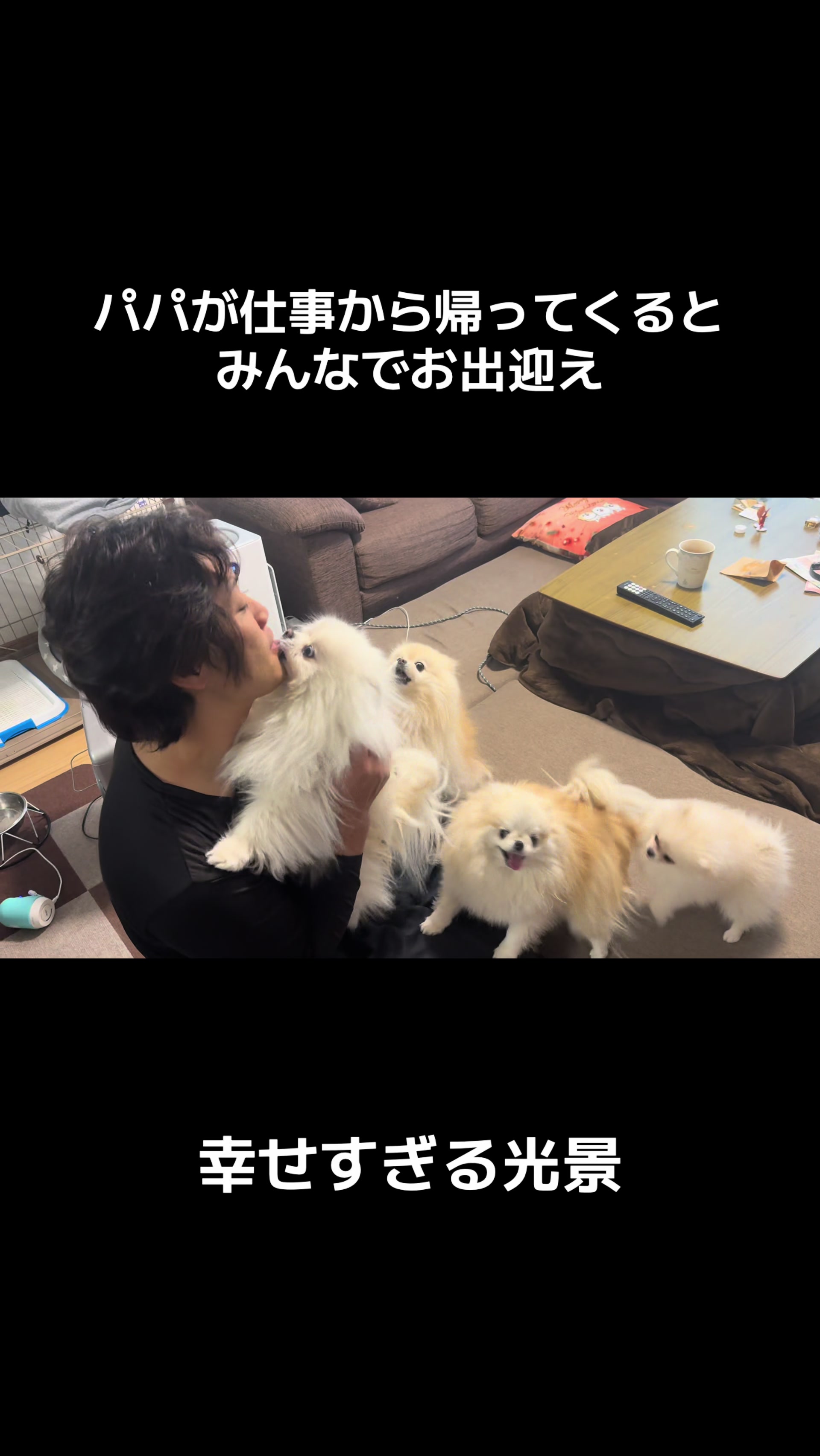 @なべちゃんチ🚐🐶🍊