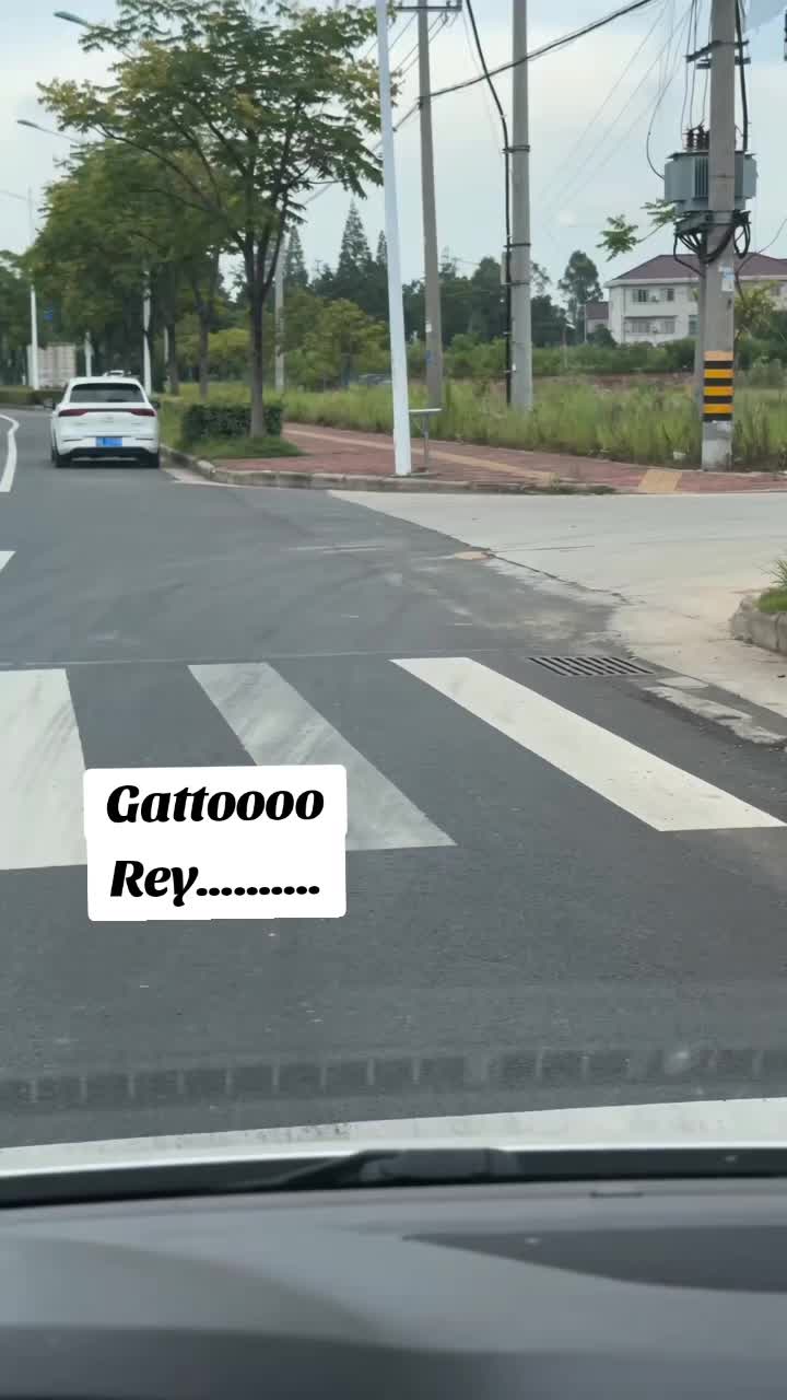 @CarmineofficiaL