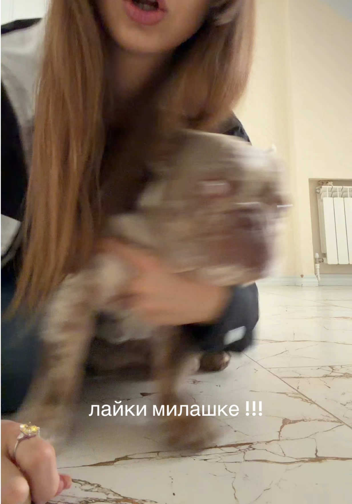 @Konoplyushka🐈&zwj;⬛