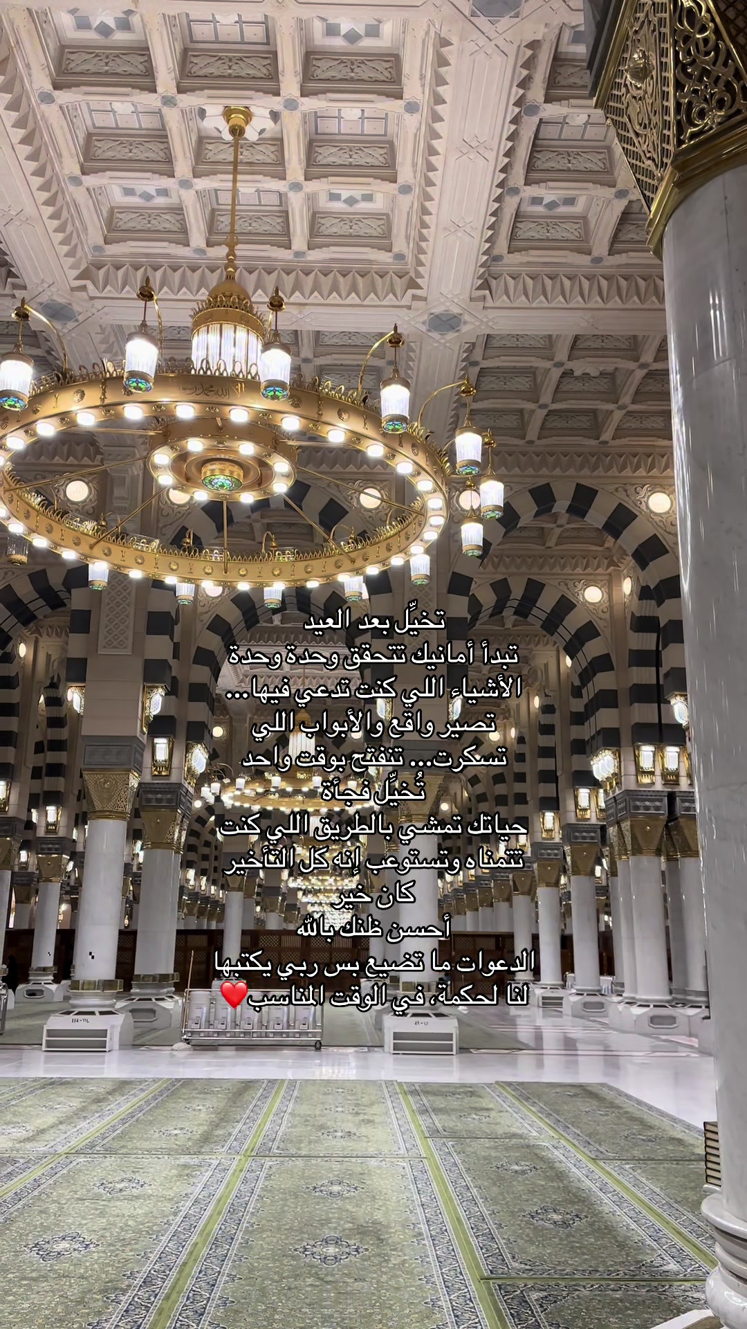 @متطوعة | المدينة المنورة 🕌