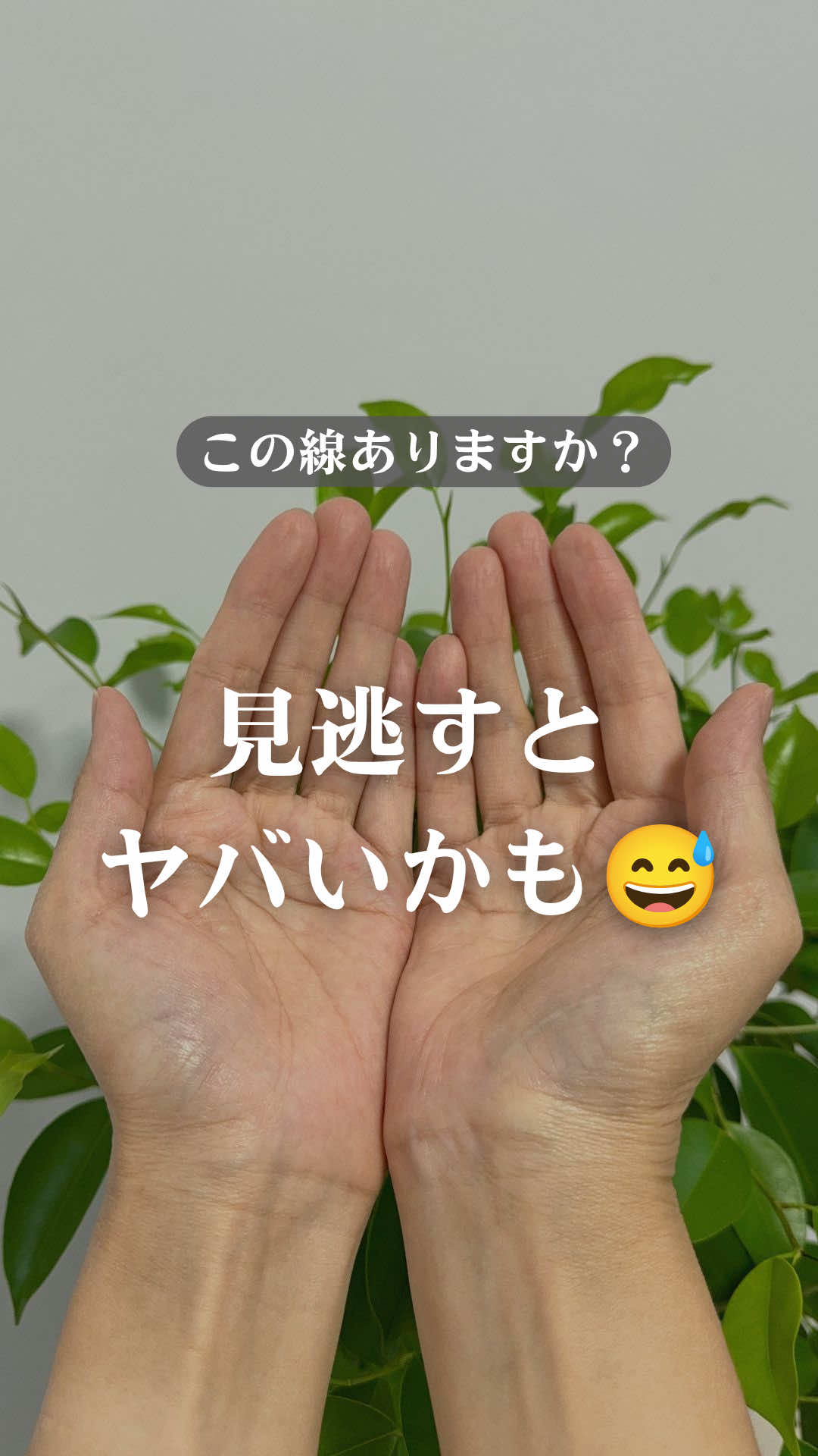 @shizue_tesou