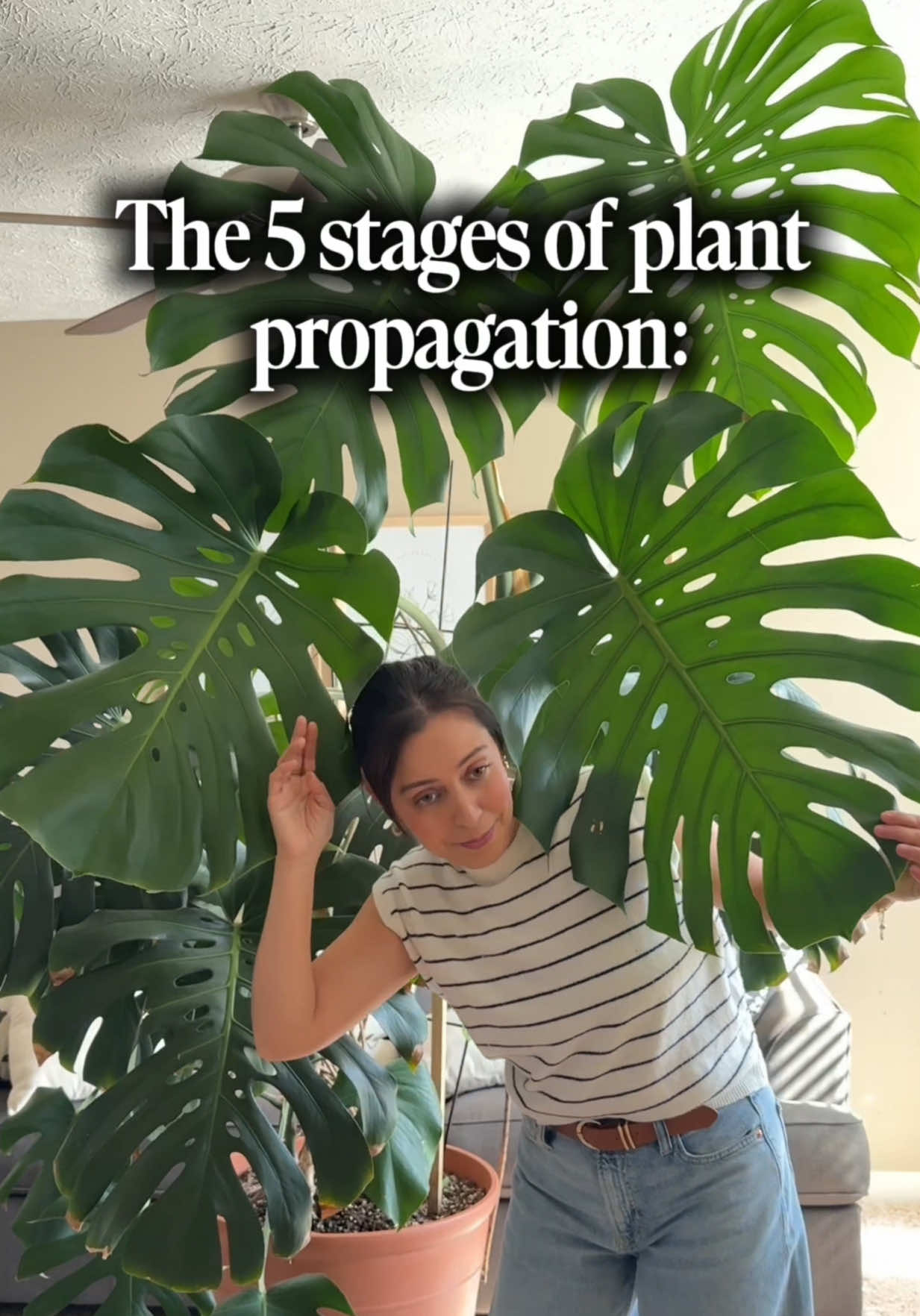@PlantswithKrystal