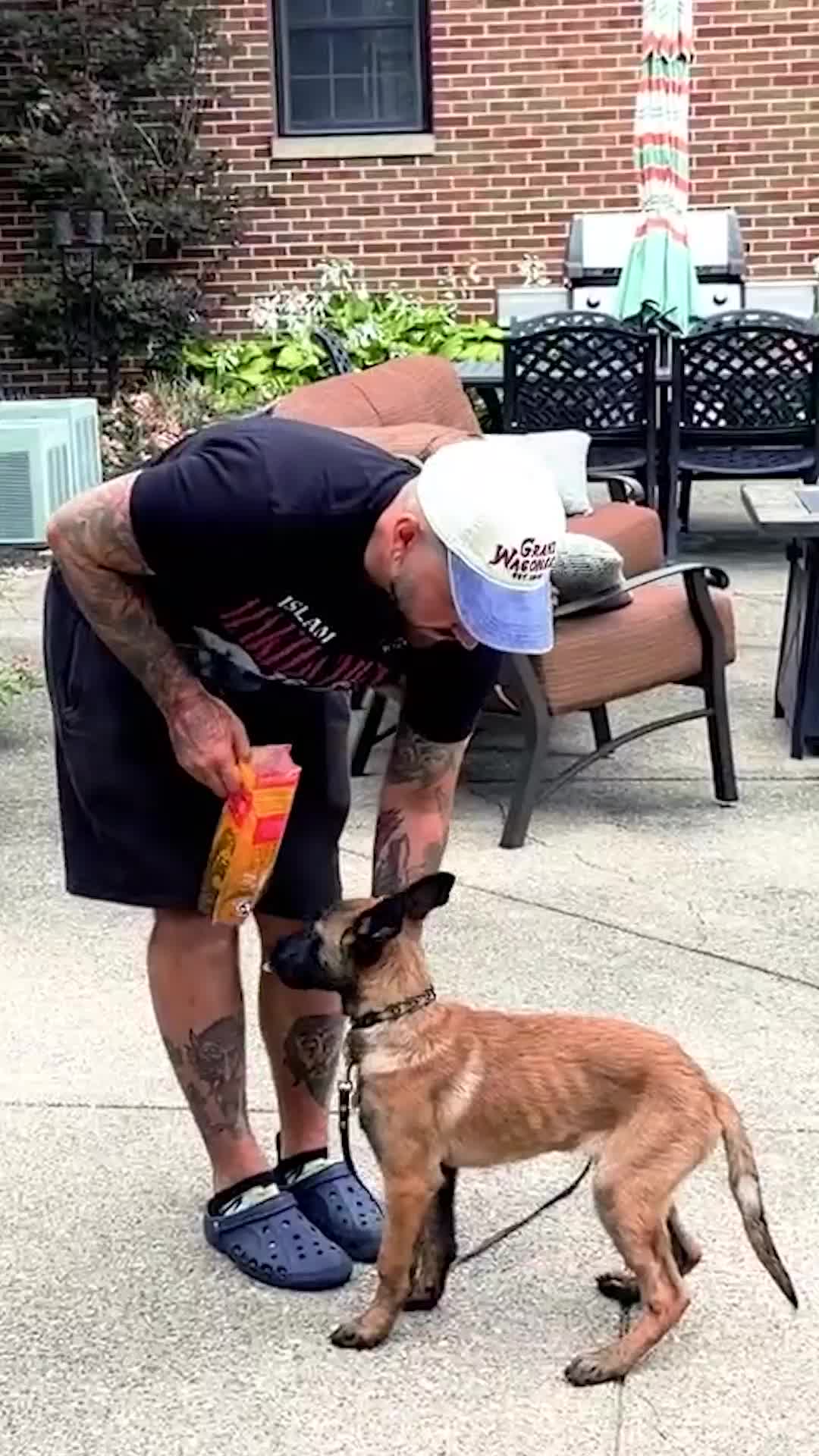 @Miracle K9 Training
