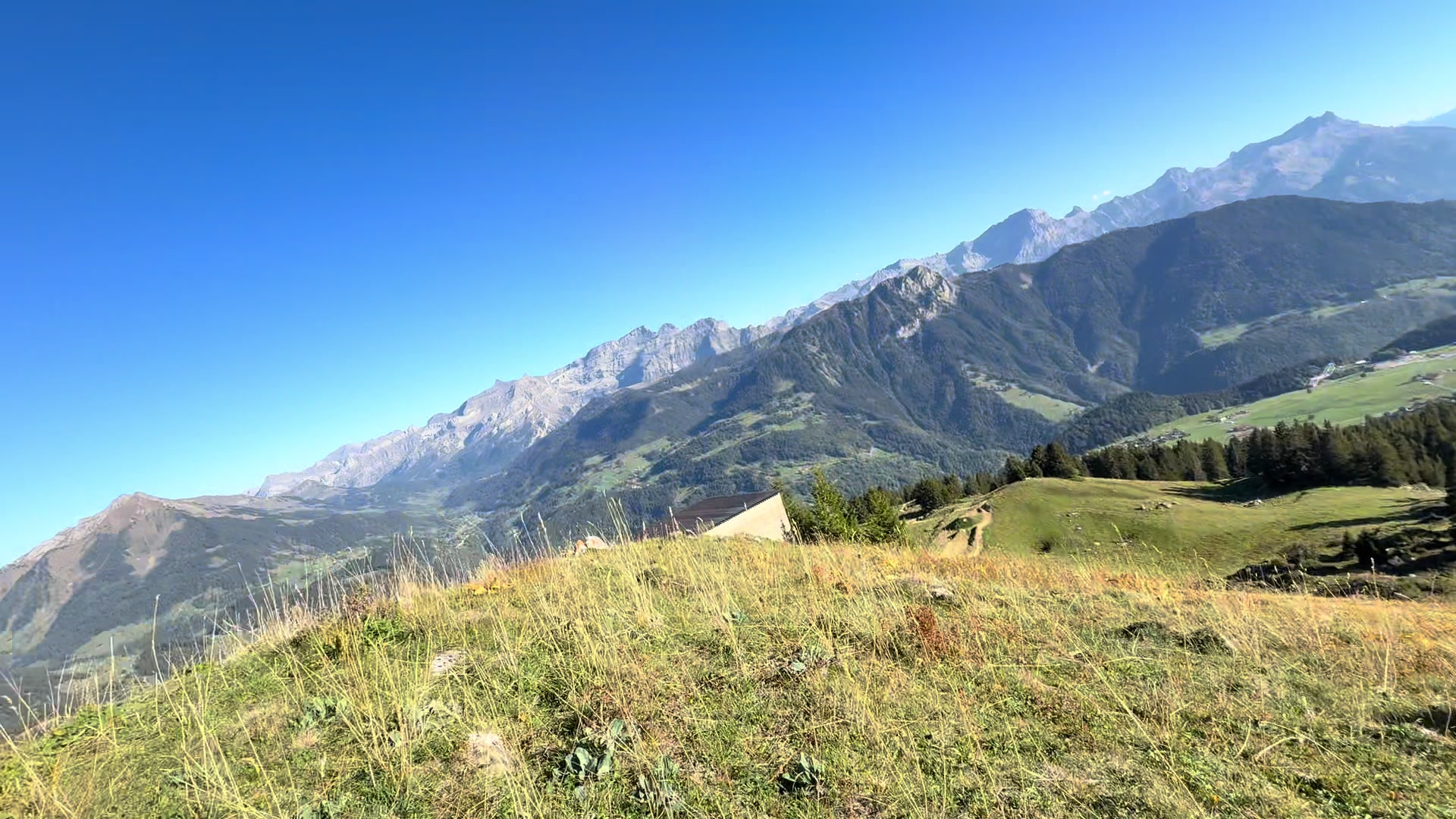 @Schyzo Swiss