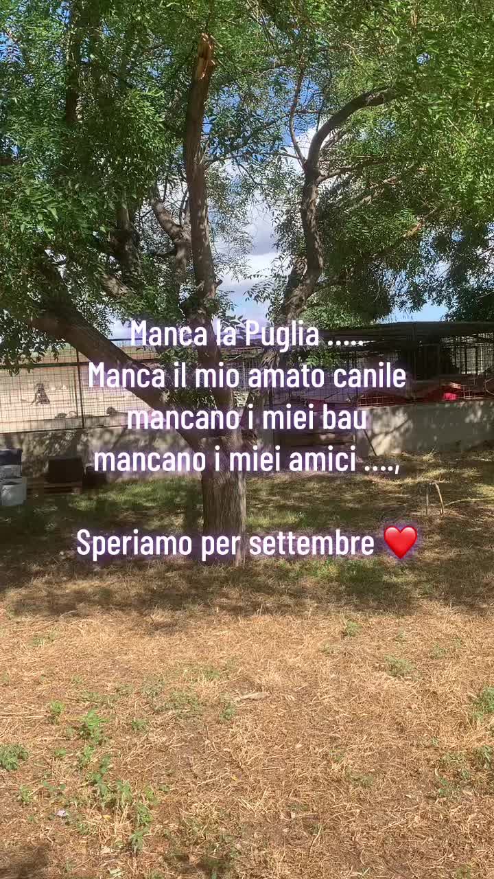 @Sara.Emy.Daisy