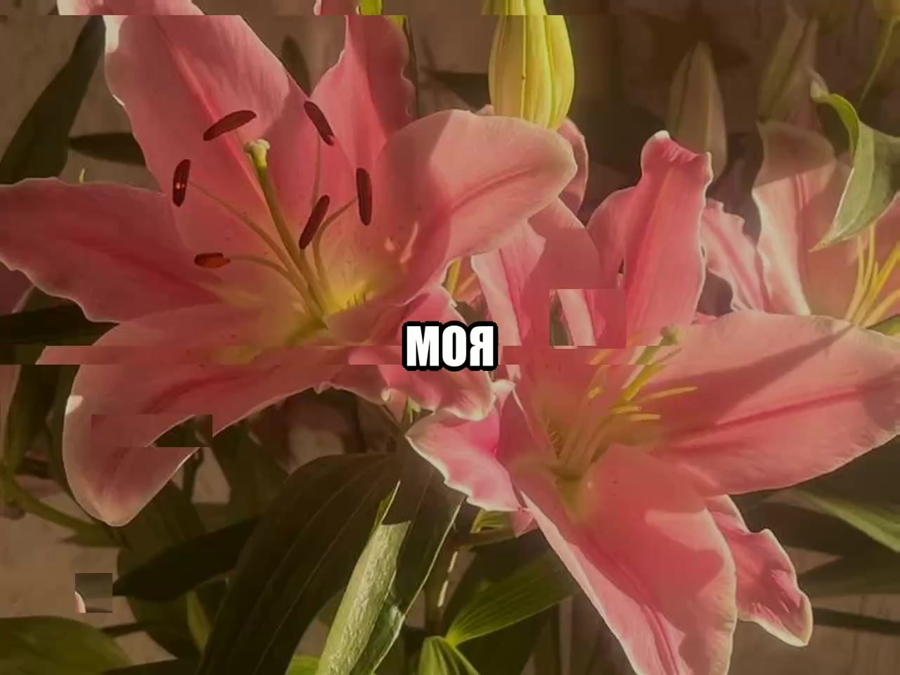 @звуки для липсингов