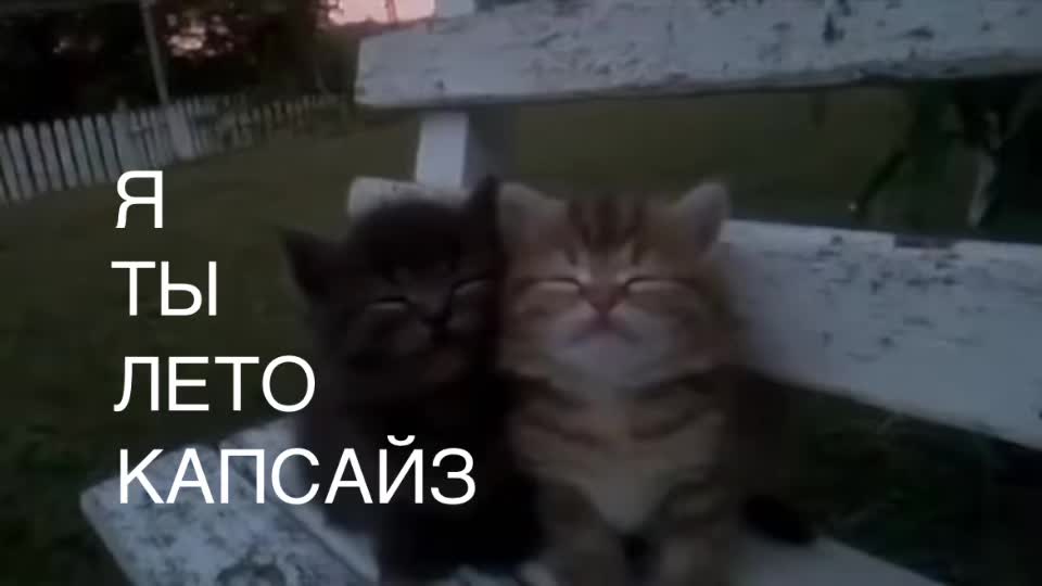 @geyham