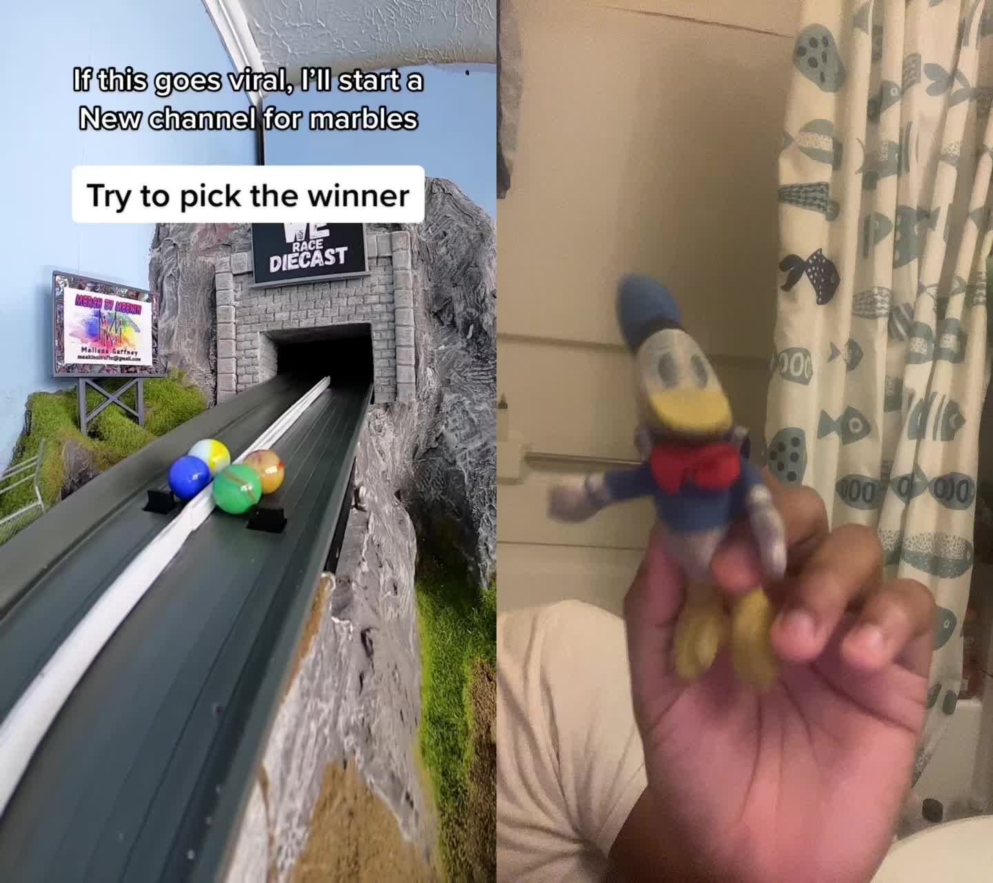 @Donald Duck