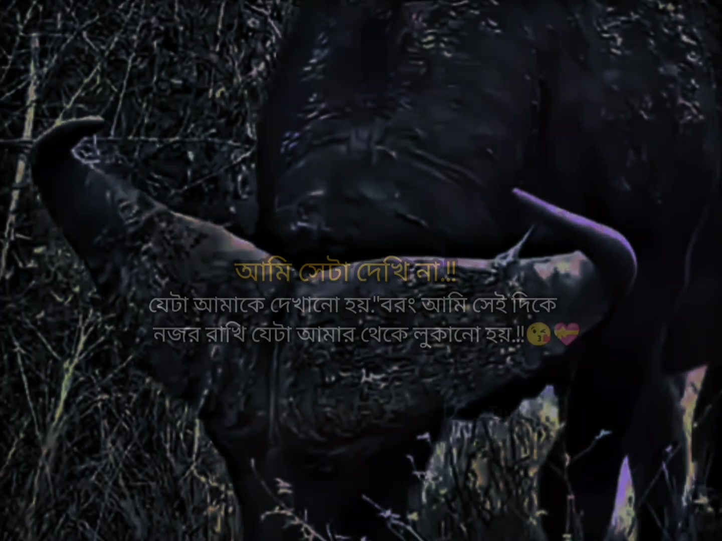 @📘💐•̩̩͙(+)Tคrek**•̩̩͙🍒🎋