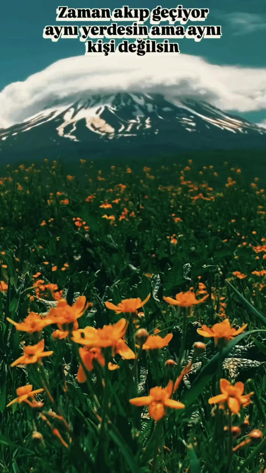 @feritalav68