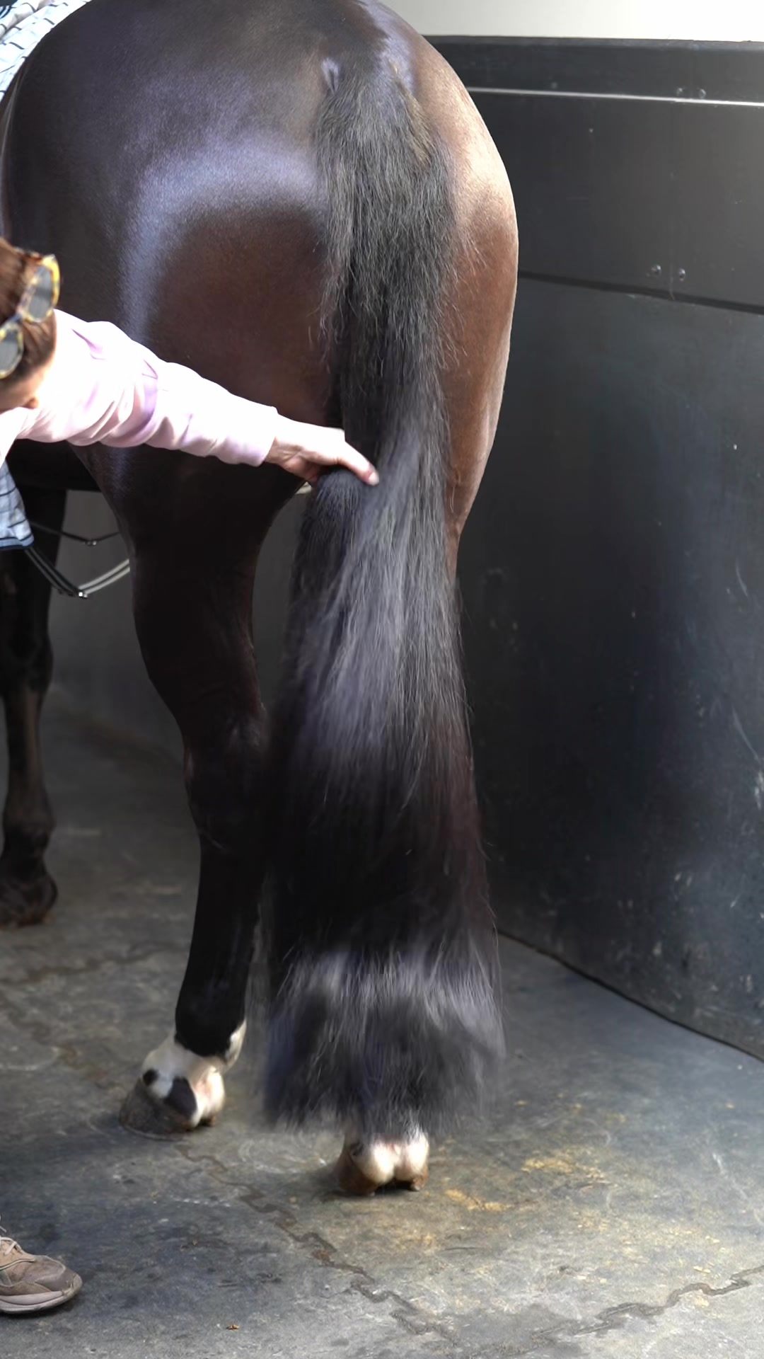 @Luxe Lengths Equine Extensions