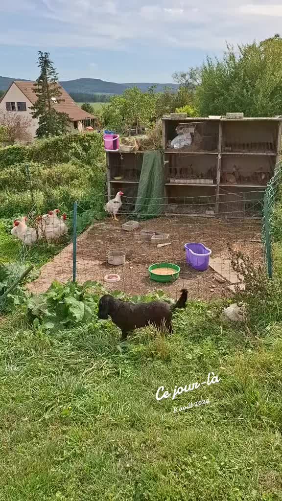 @La petite Lily et ses copains