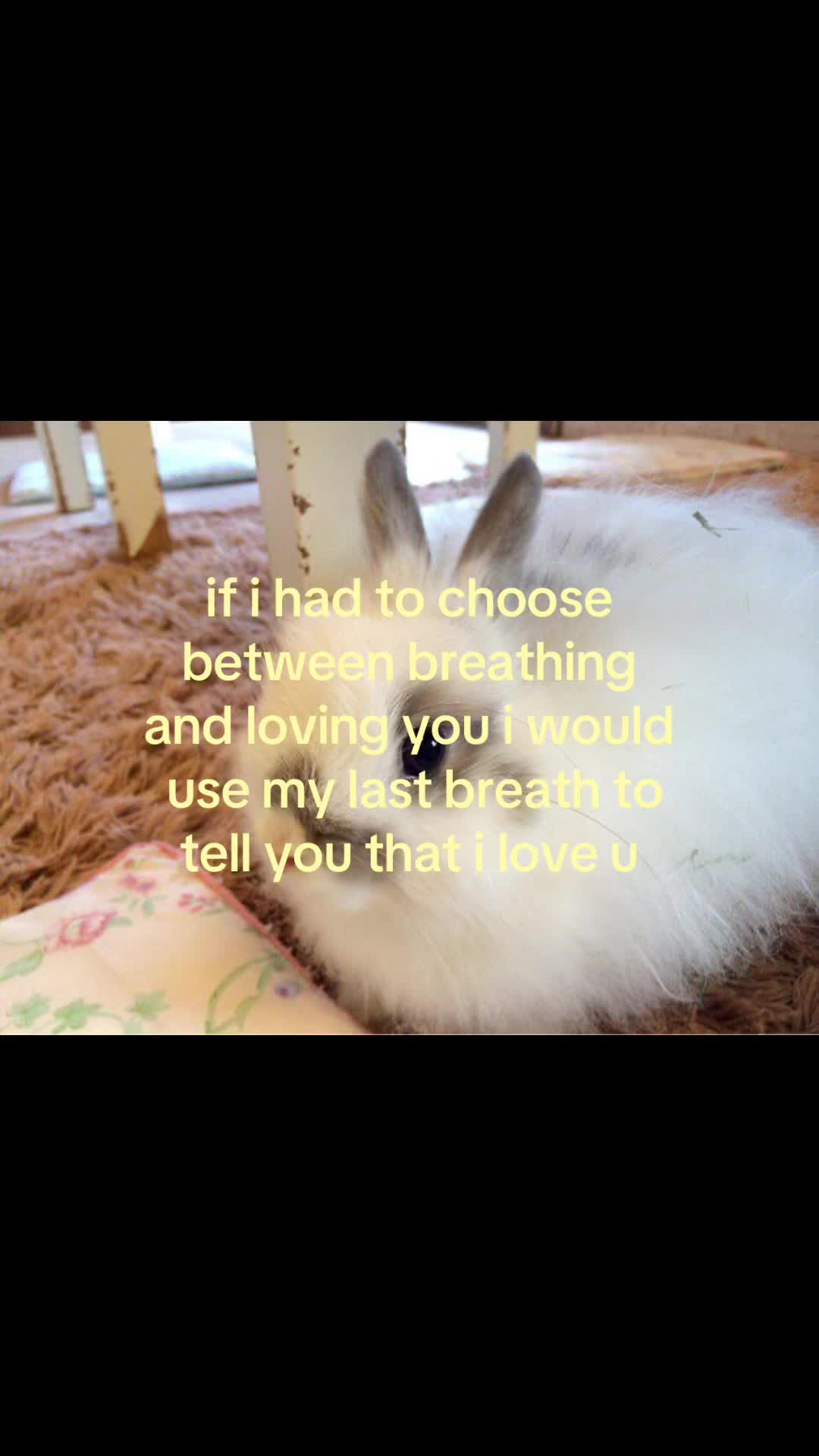 @rwnd